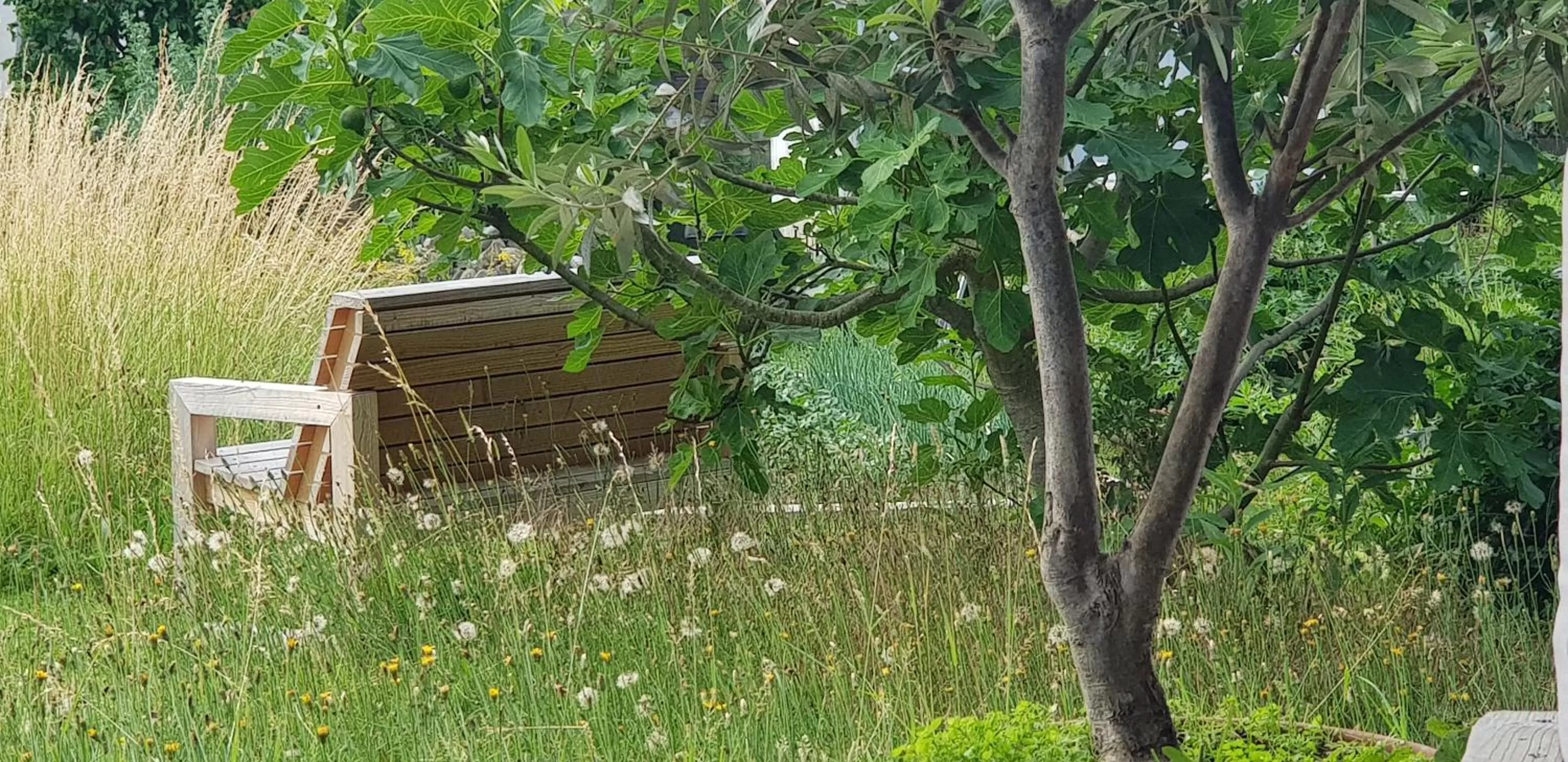 Garden in Blue Wall BnB