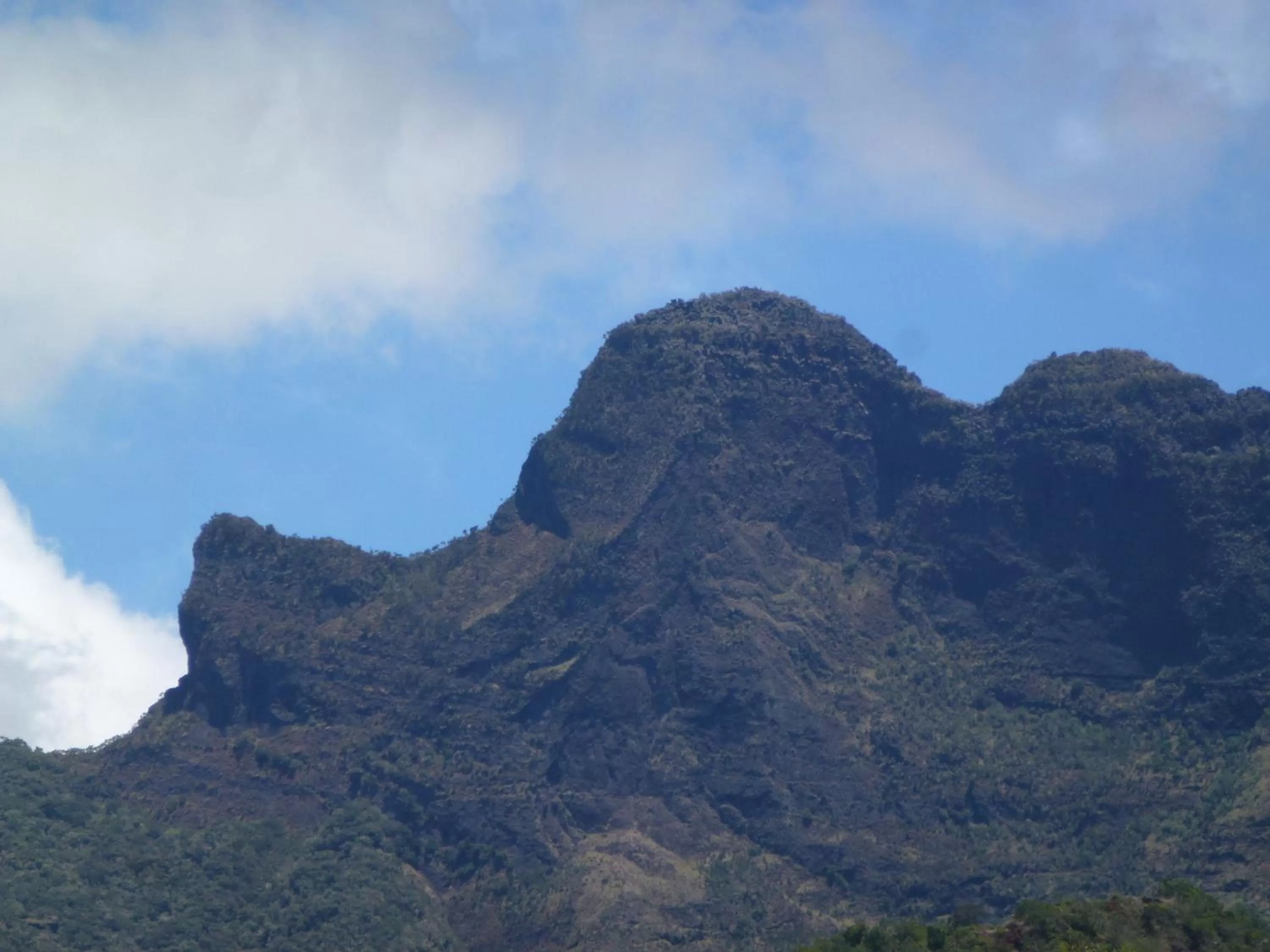 Natural landscape, Mountain View in Hotel Des Neiges