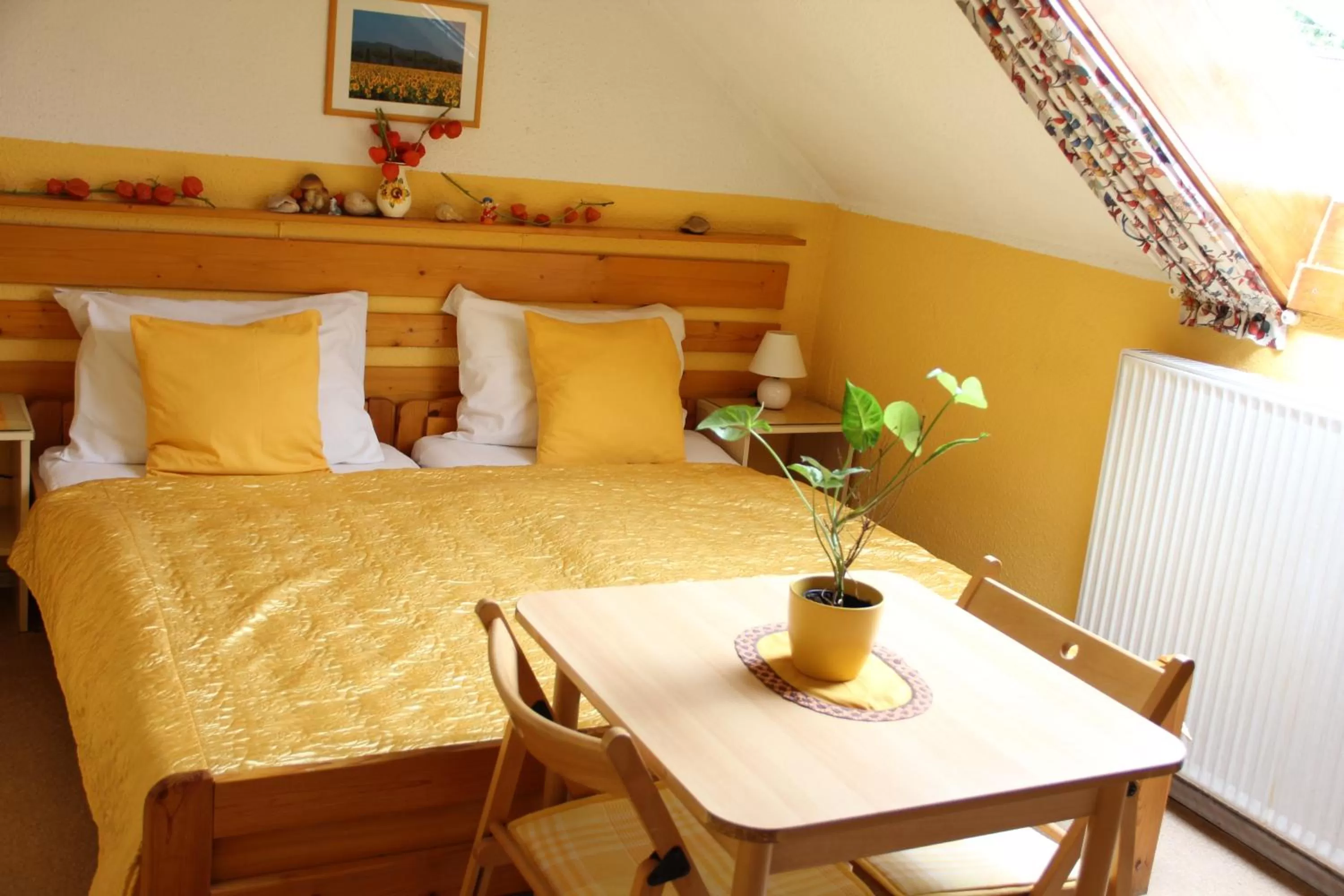 Double or Twin Room in Mekina Guesthouse