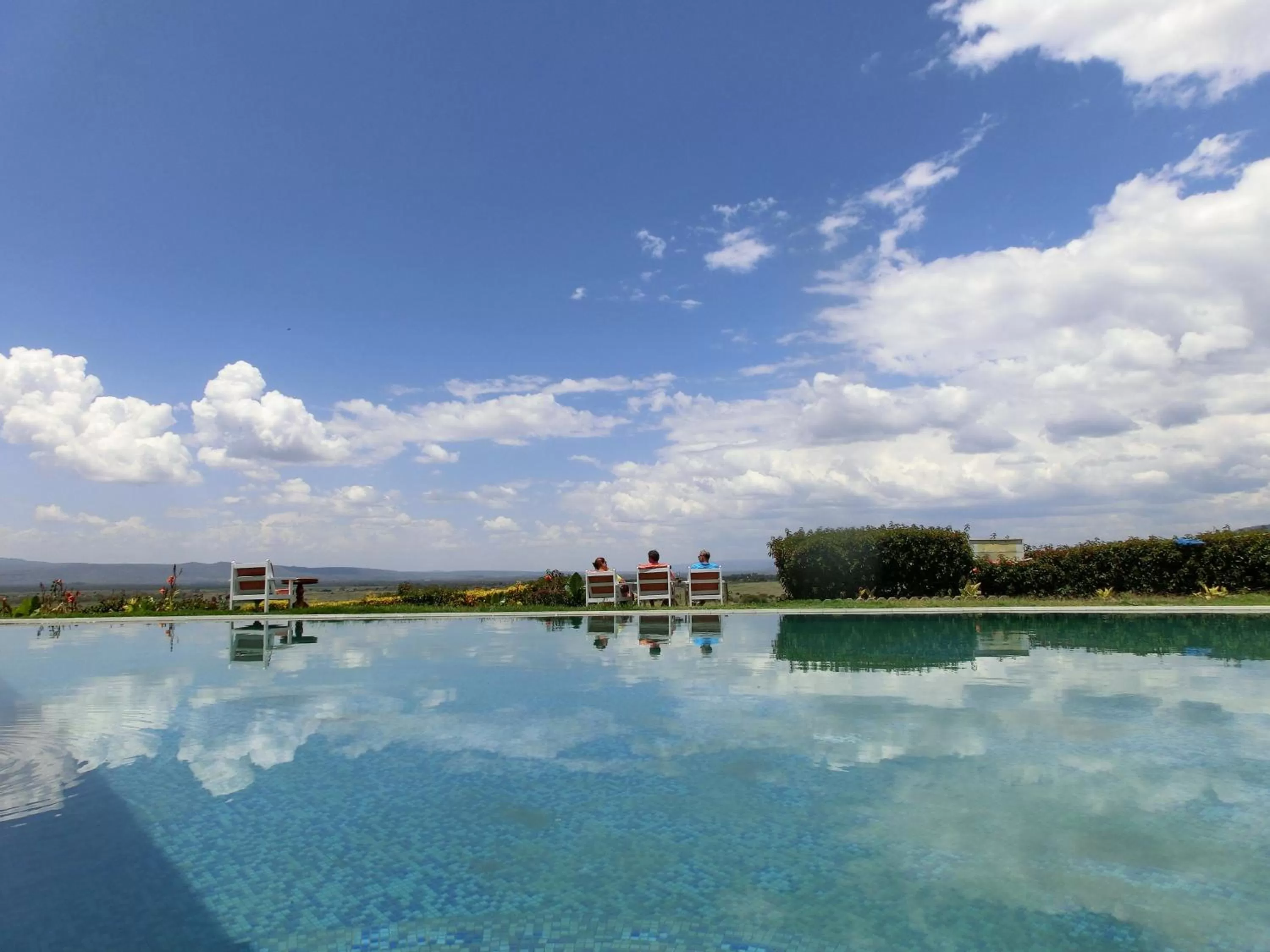 Garden, Swimming Pool in Mwanzo Lodge