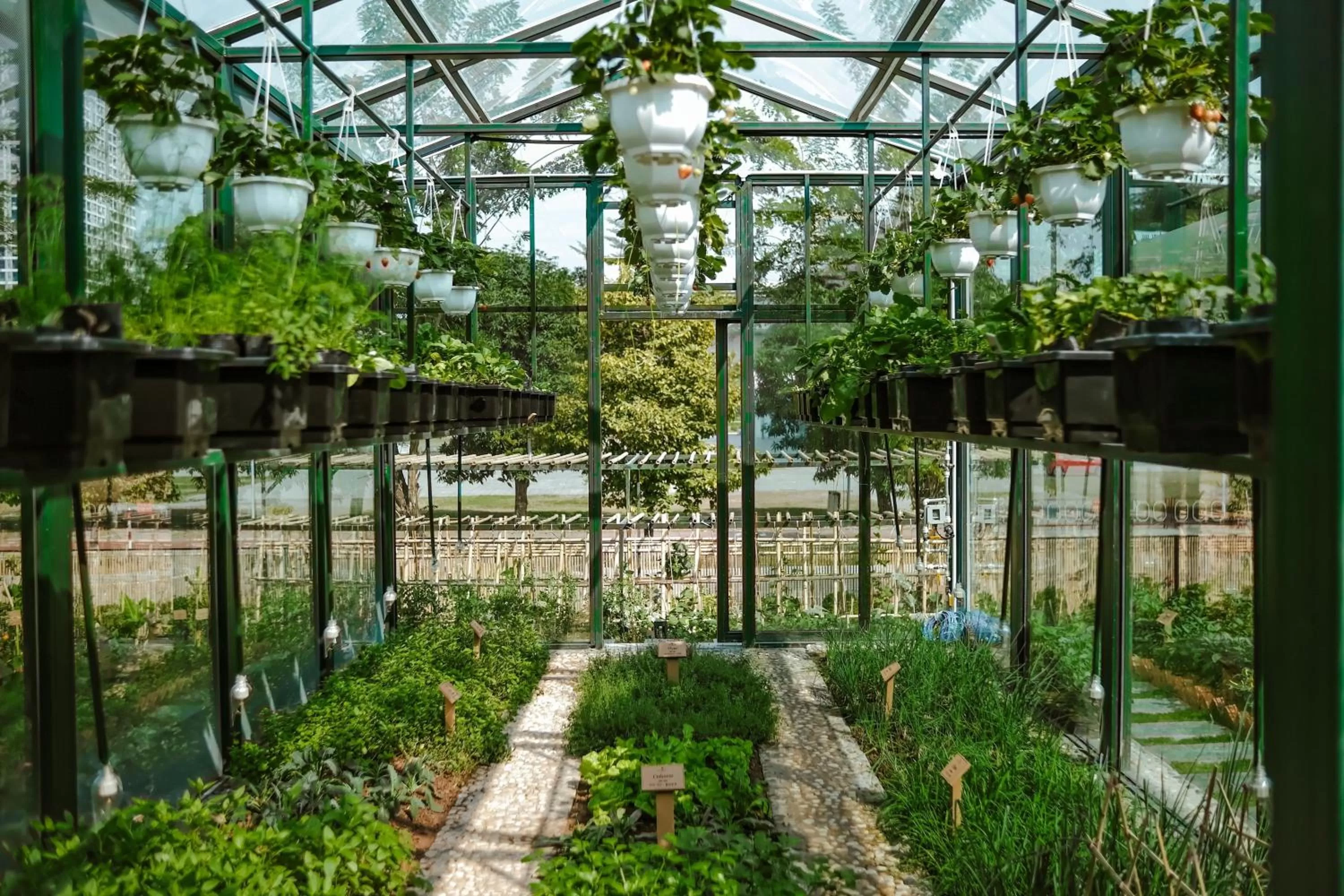 Other in JW Marriott Hotel Hanoi