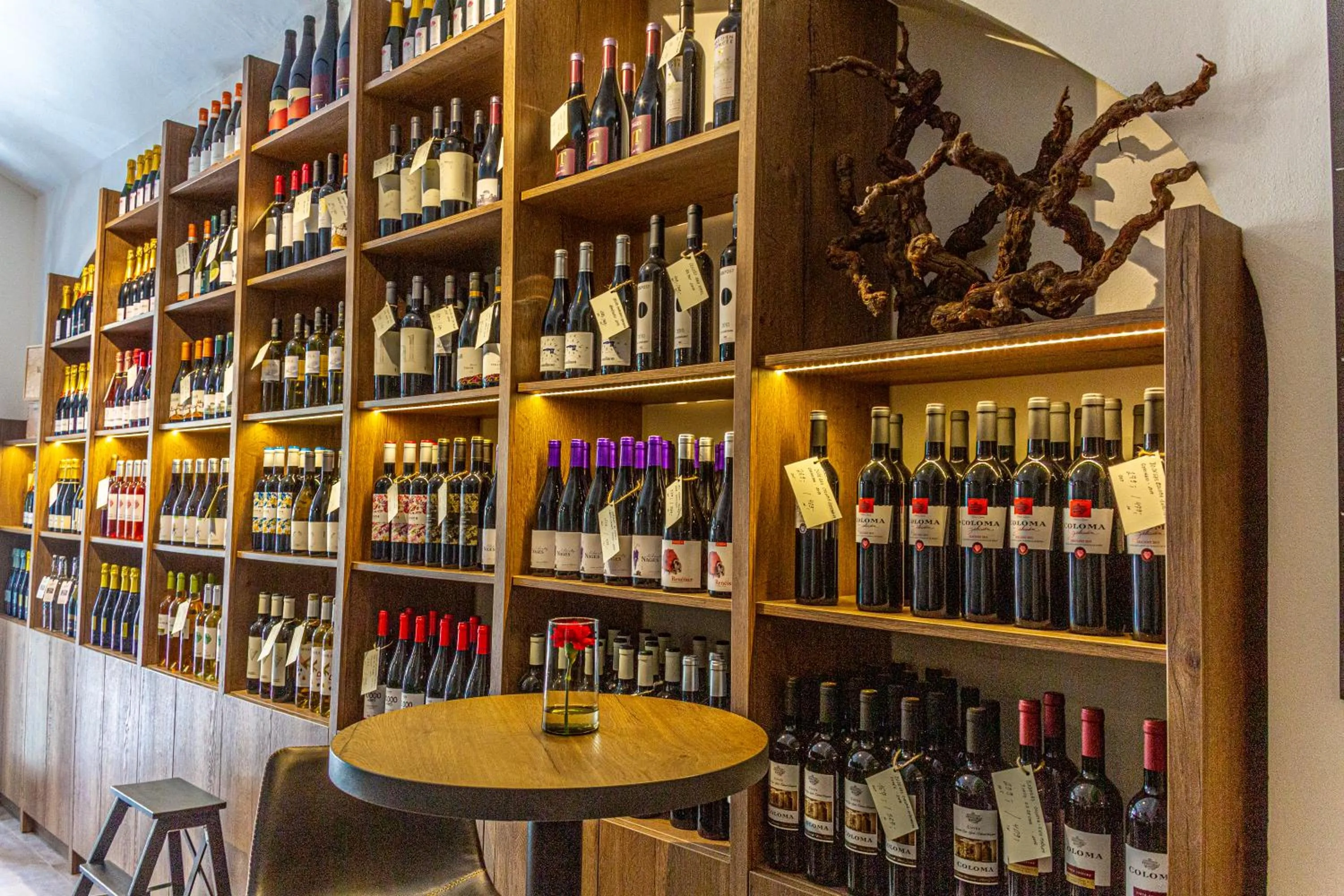 Lounge or bar in Hotel Salvator