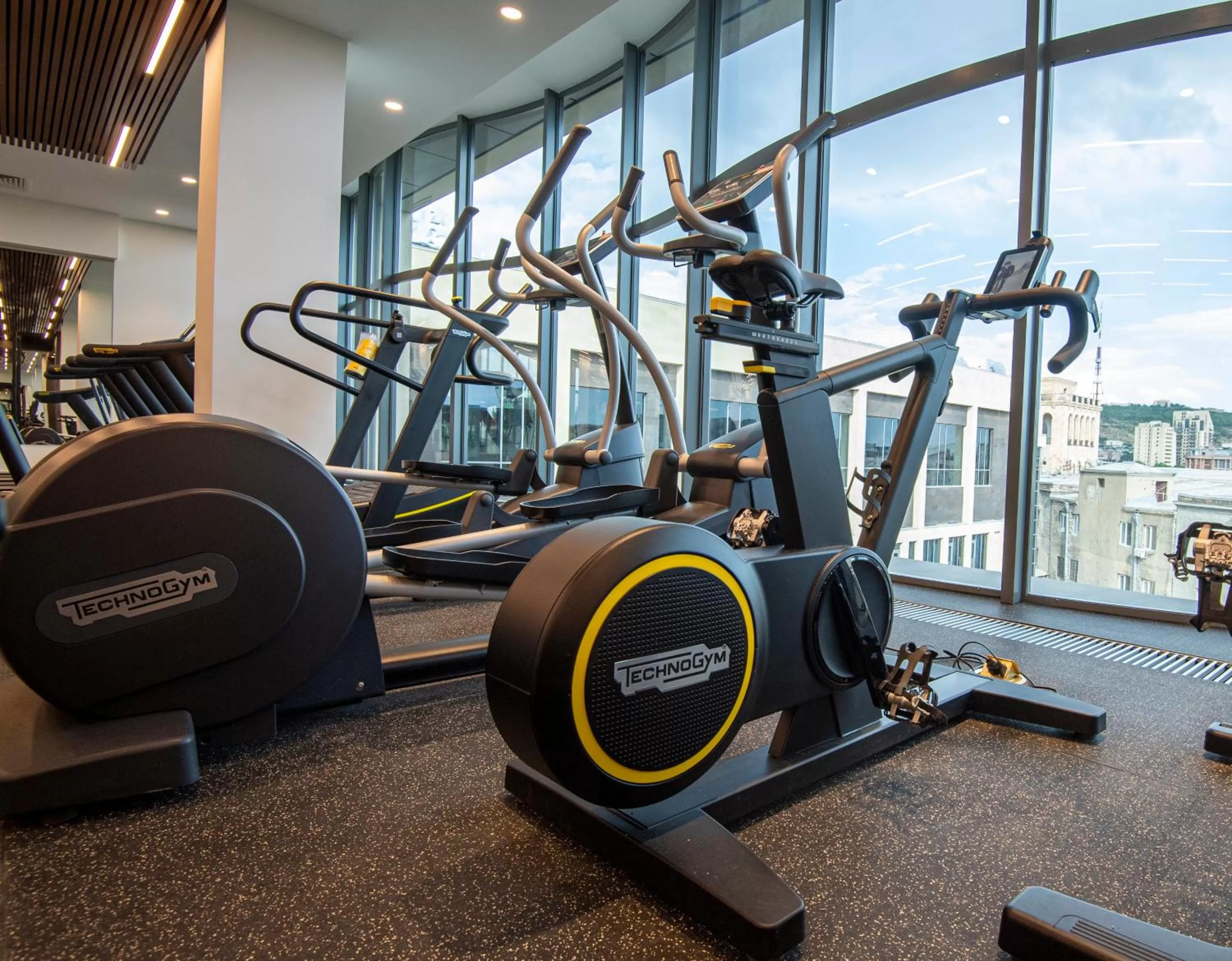 Fitness centre/facilities in Holiday Inn Yerevan - Republic Square by IHG