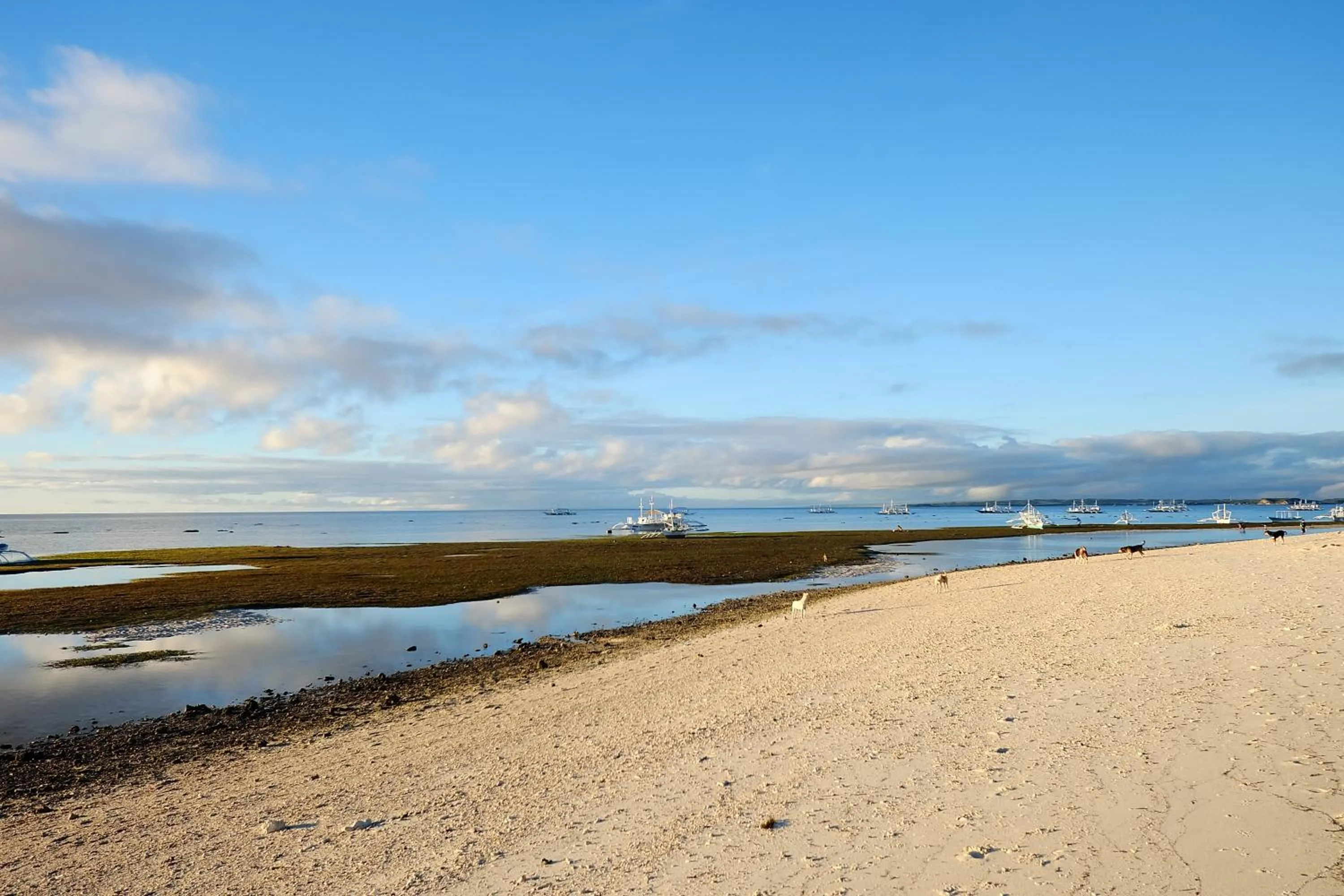 Nearby landmark in Malapascua Budget Inn MBI DIVE CENTER