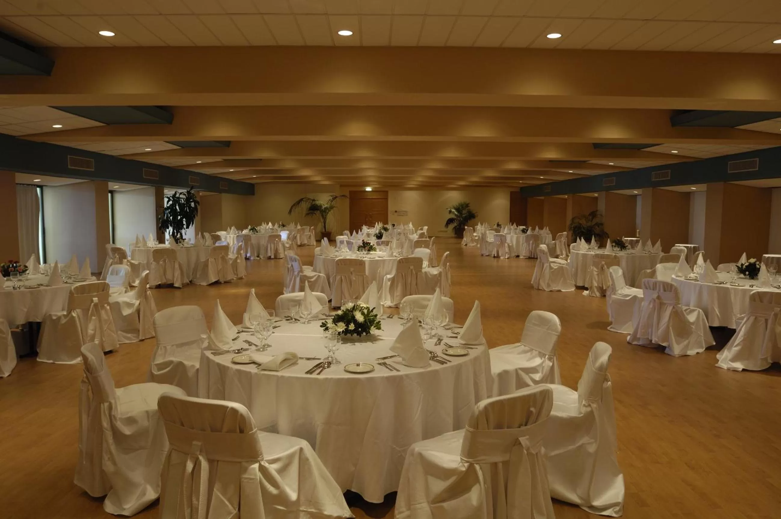 Business facilities in Constantinou Bros Athena Royal Beach Hotel