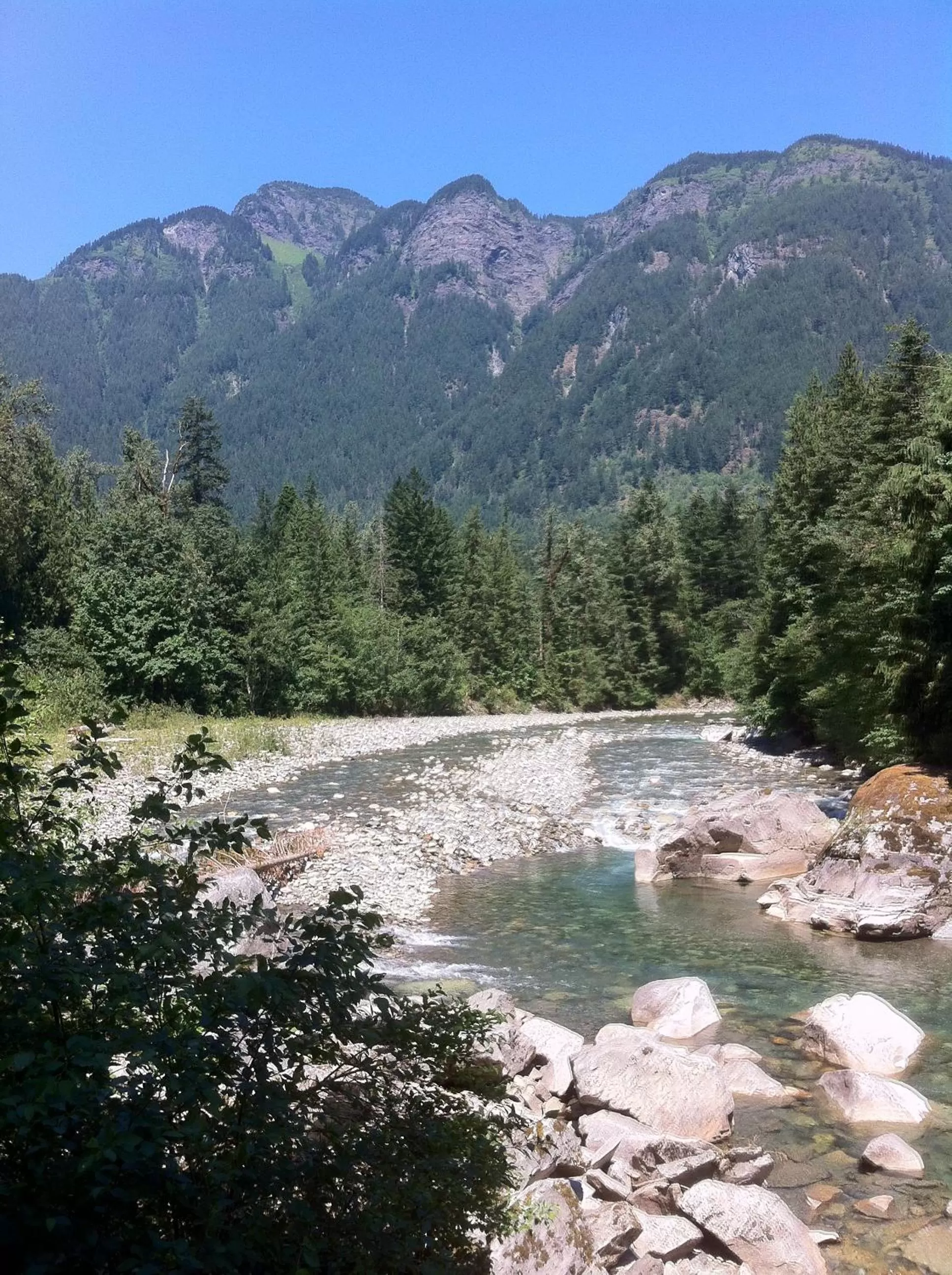 Fishing in Evergreen Bed & Breakfast