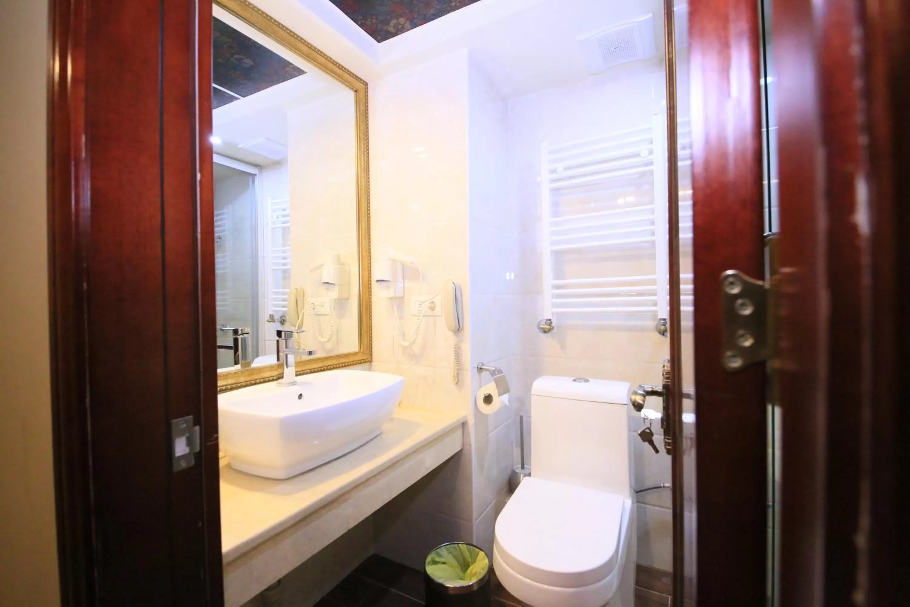 Toilet in Borjomi Palace Health & Spa Center