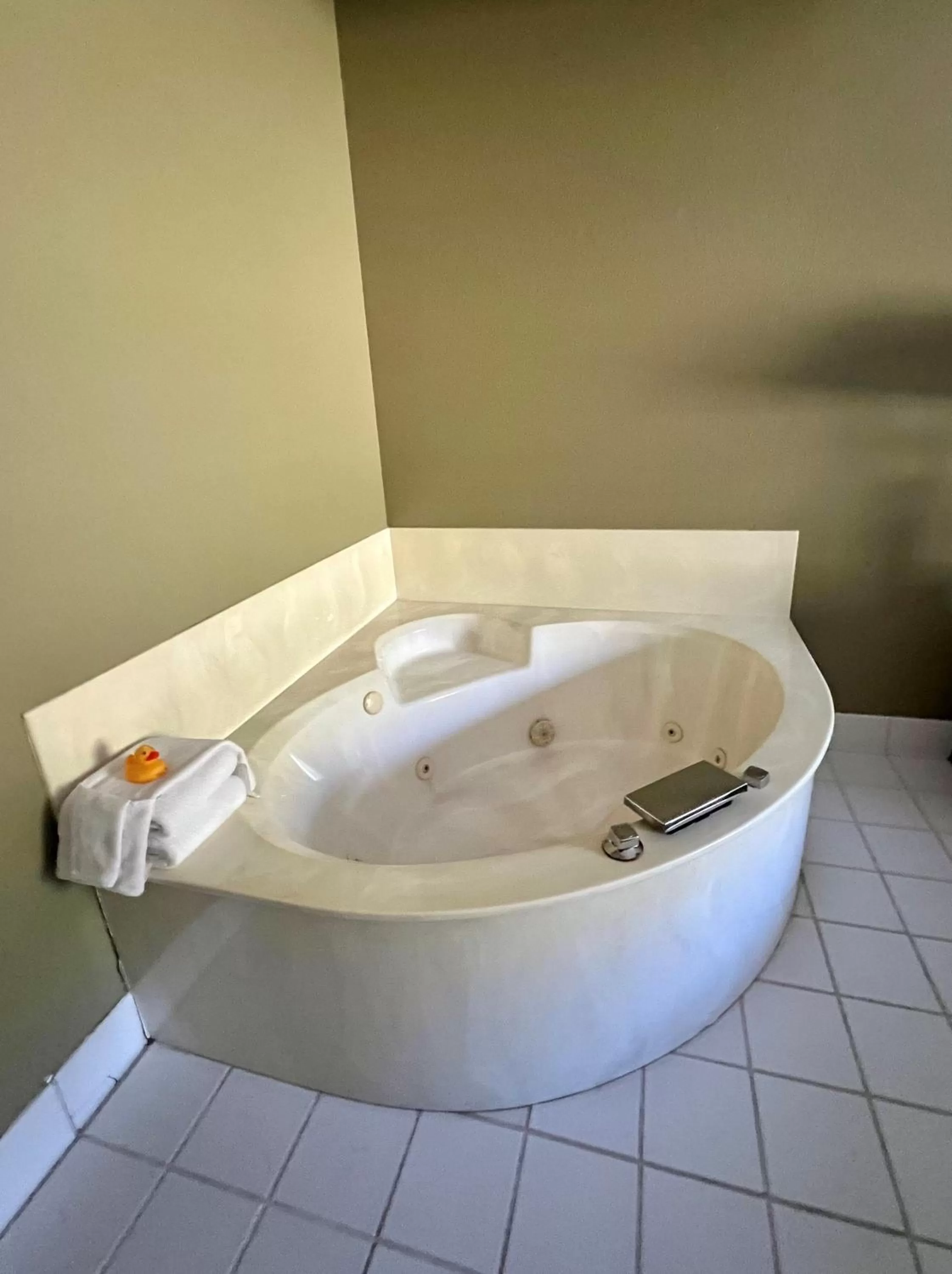 Bath in Country Inn Walker