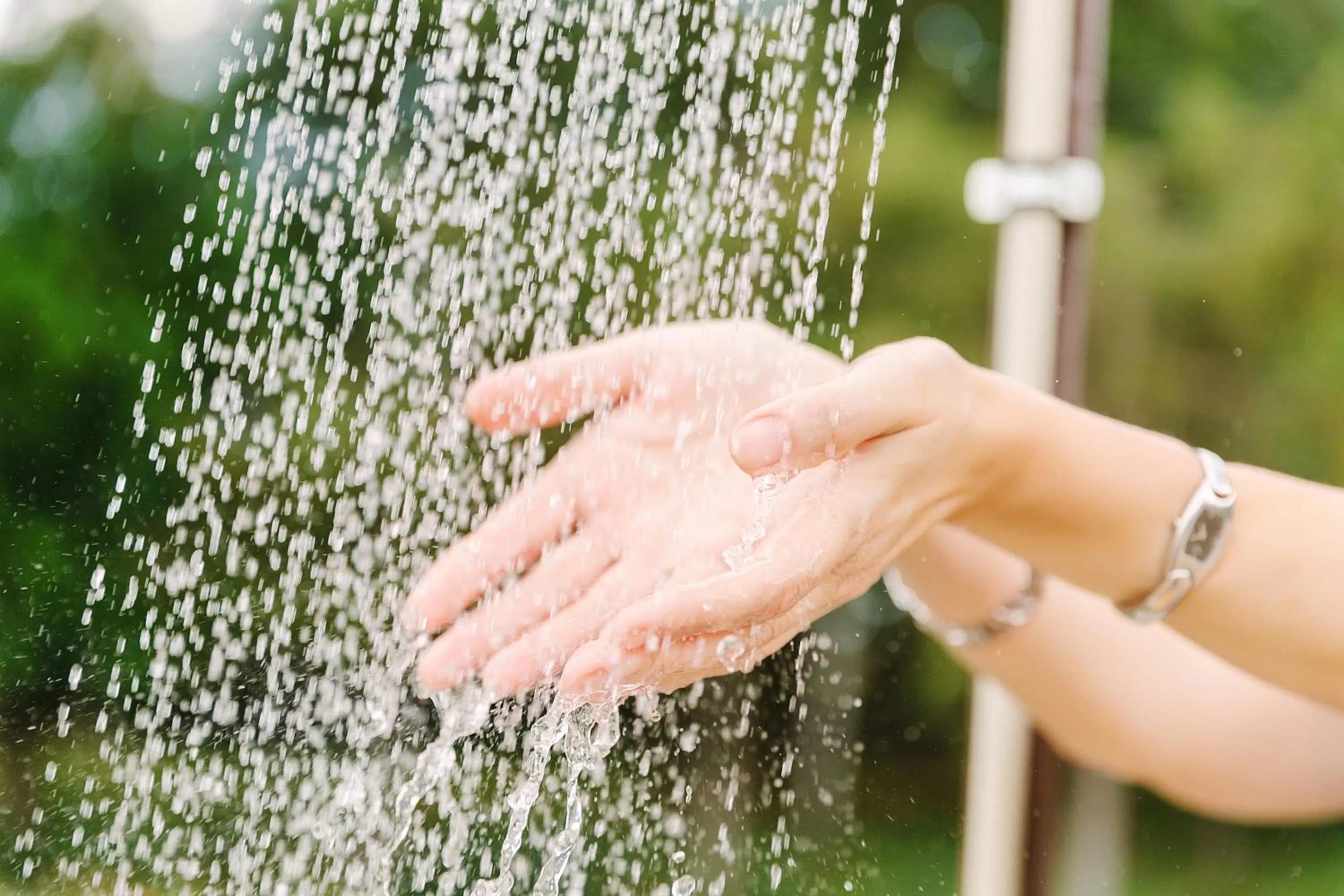 Other in Zelenyi Kampus