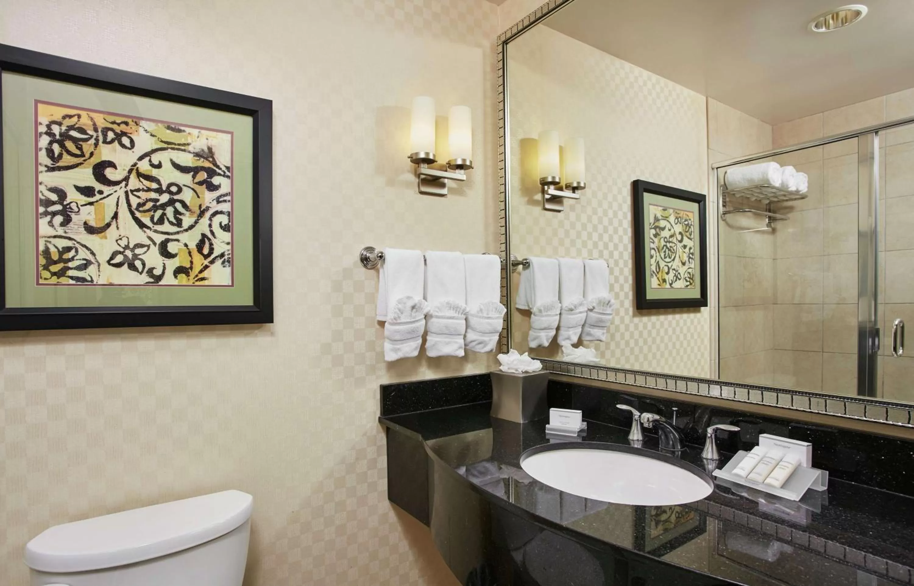 Shower in Hilton Garden Inn Rockville - Gaithersburg