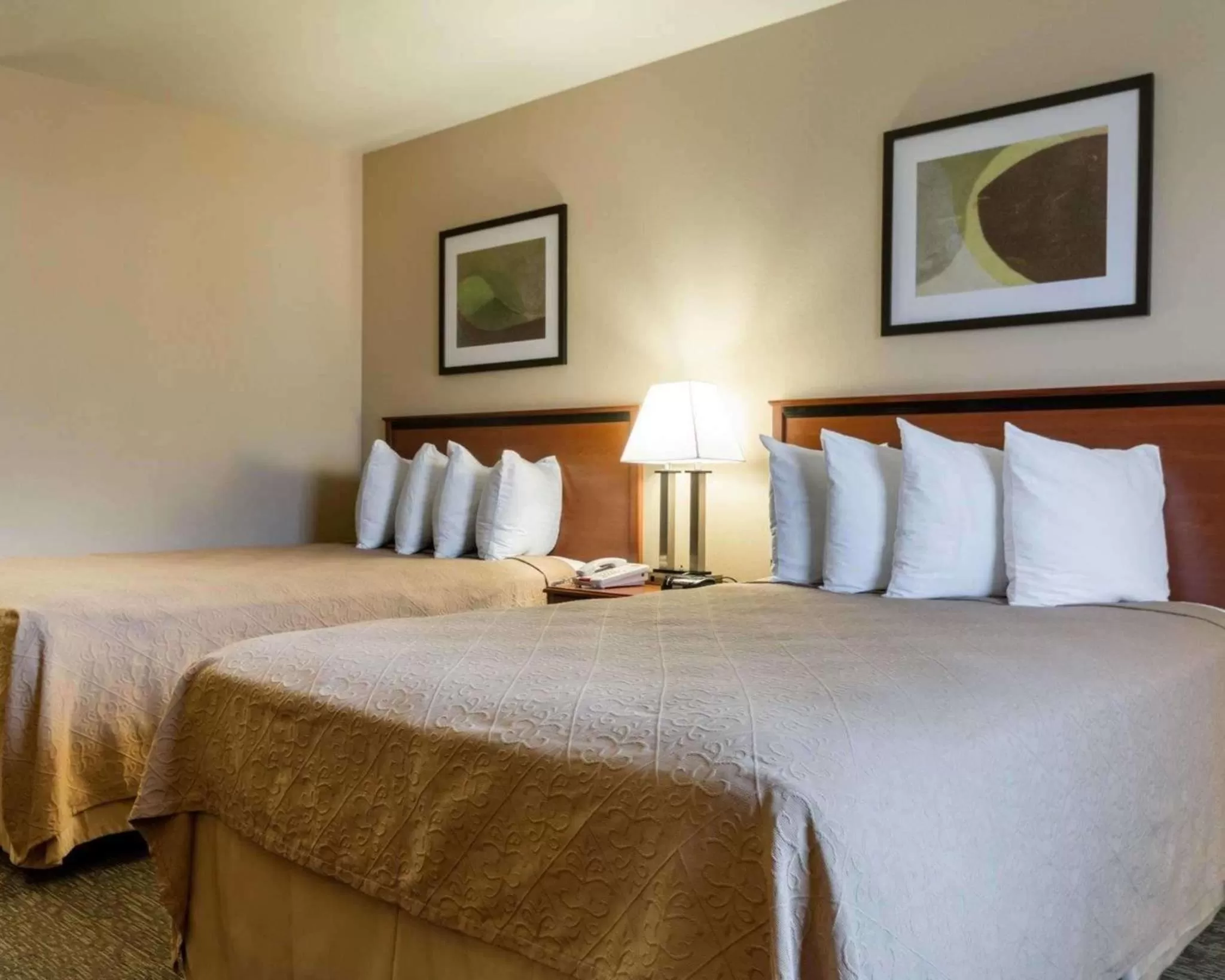 Photo of the whole room, Bed in Rodeway Inn of Junction