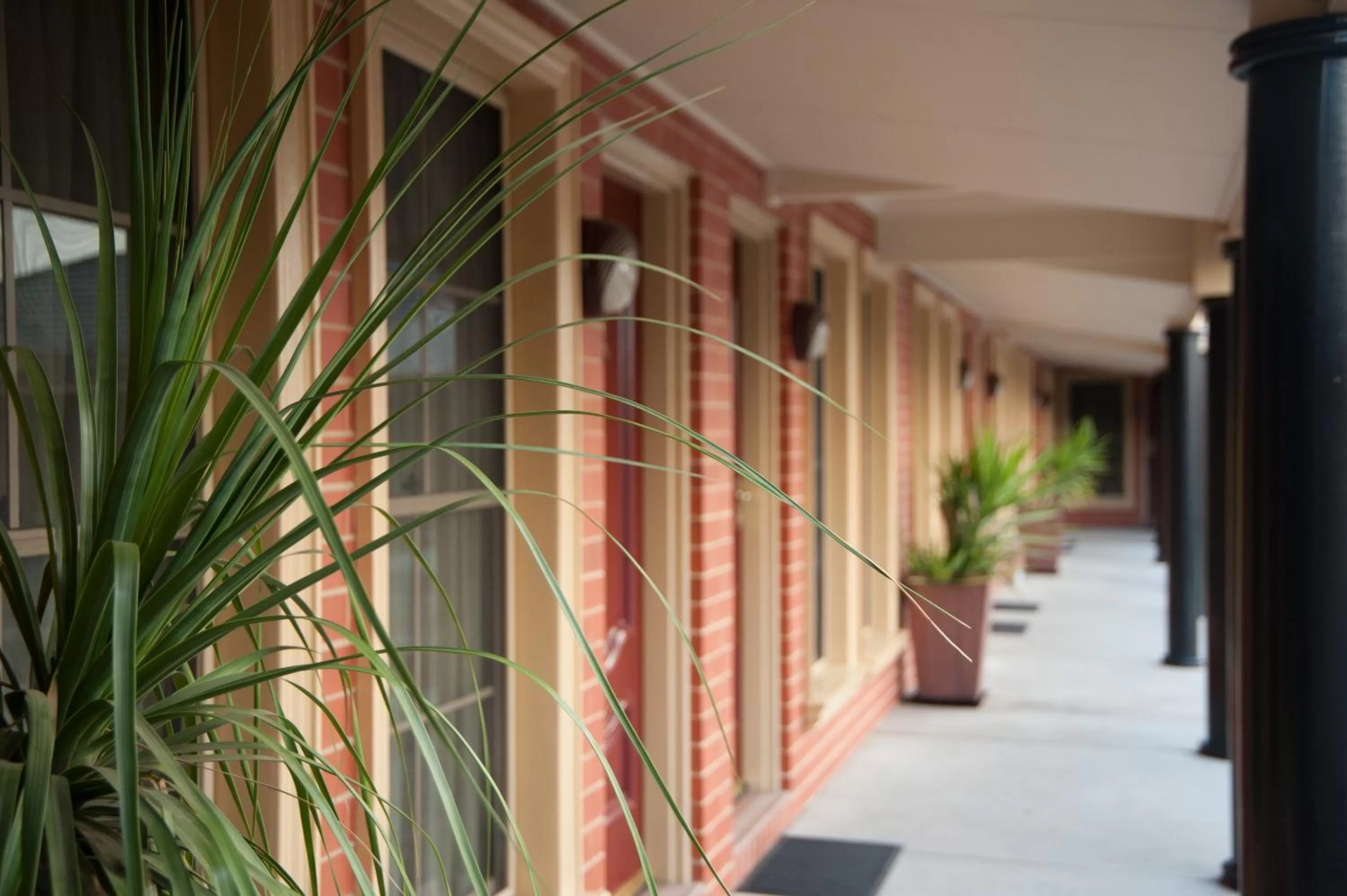 Decorative detail in Georgian Motor Lodge