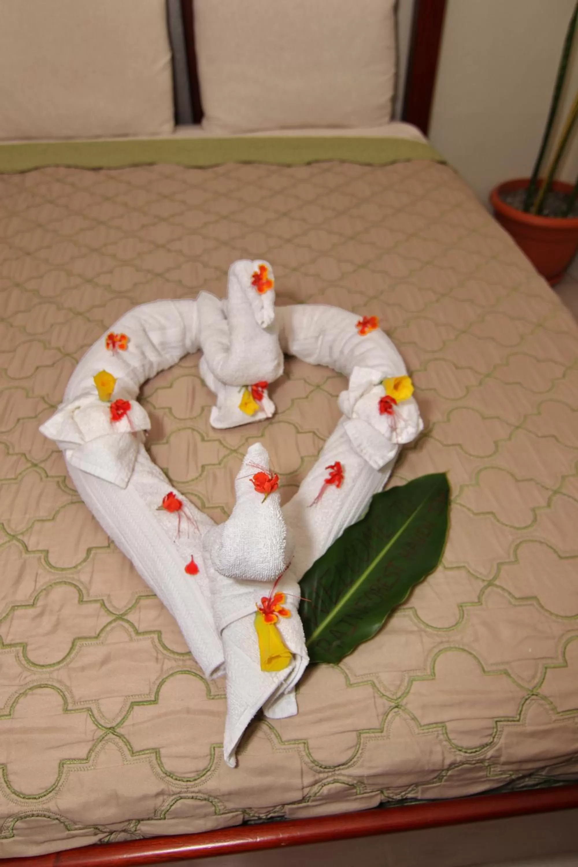 Bed in Rainforest Haven Inn