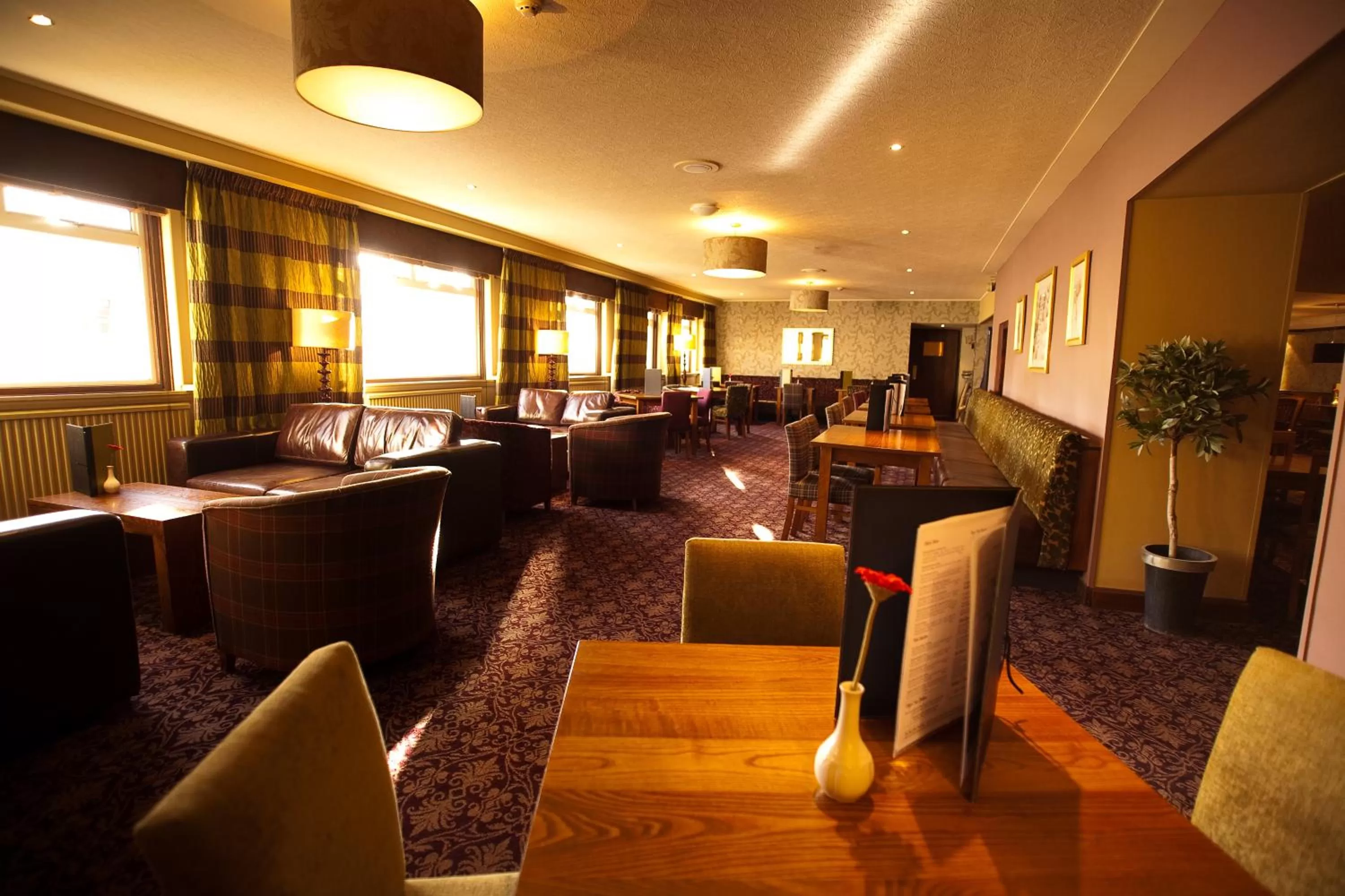 Restaurant/places to eat in The Angus Hotel & Spa