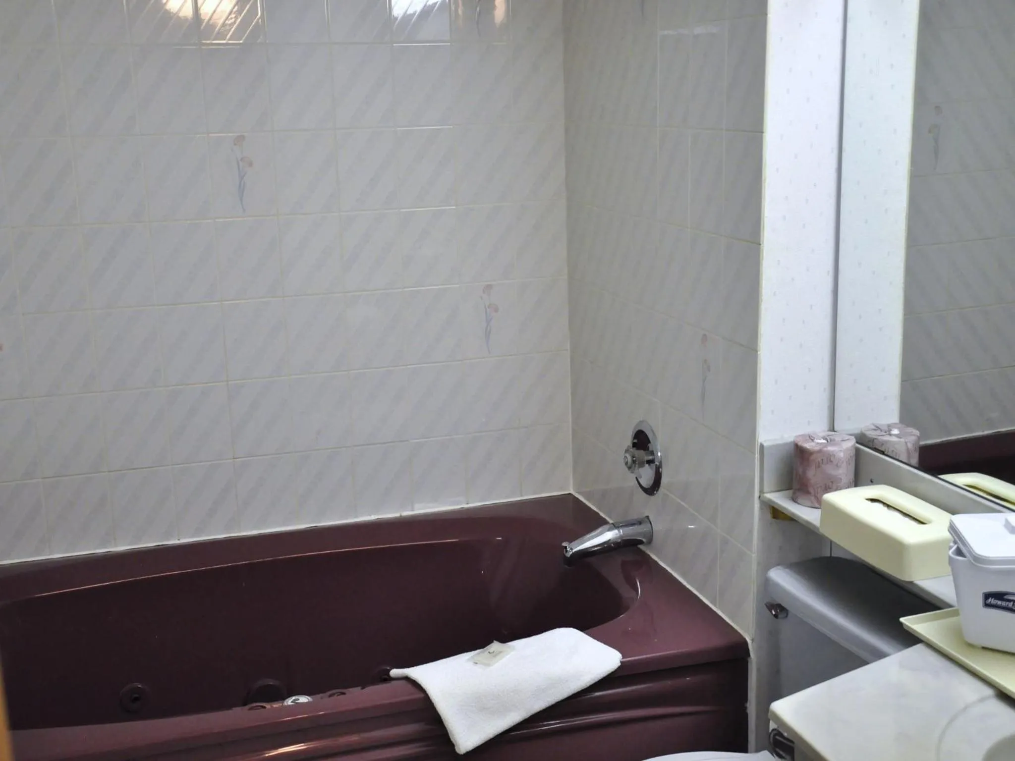 Bathroom in Howard Johnson by Wyndham Niagara Falls