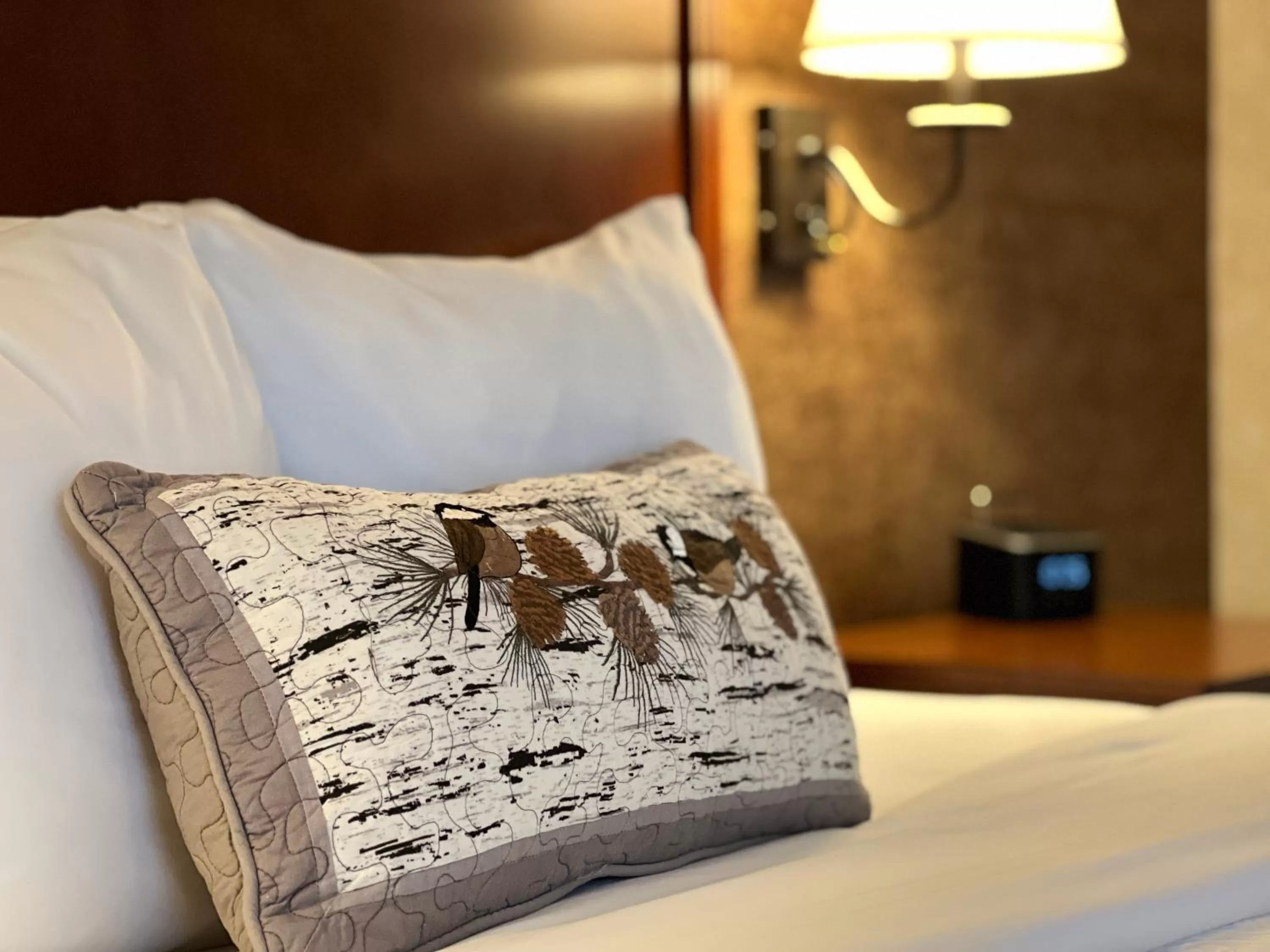 Bed in Maine Evergreen Hotel, an Ascend Collection Hotel