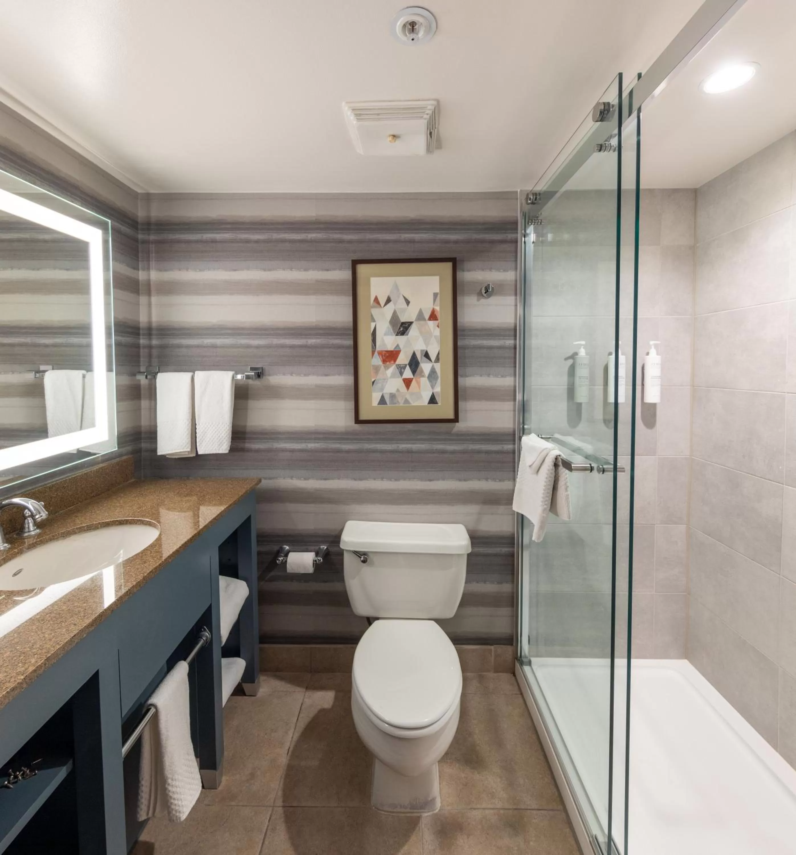 Shower in Embassy Suites by Hilton Phoenix Biltmore