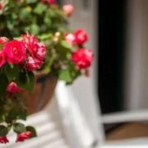 Family Double Room in Arcady Mountain Motor Lodge