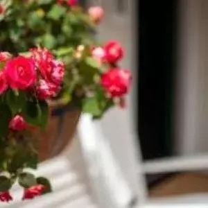 Family Double Room in Arcady Mountain Motor Lodge Family Double Room in Arcady Mountain Motor Lodge