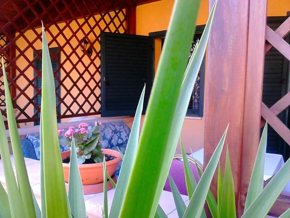 Patio in Green Park Hotel