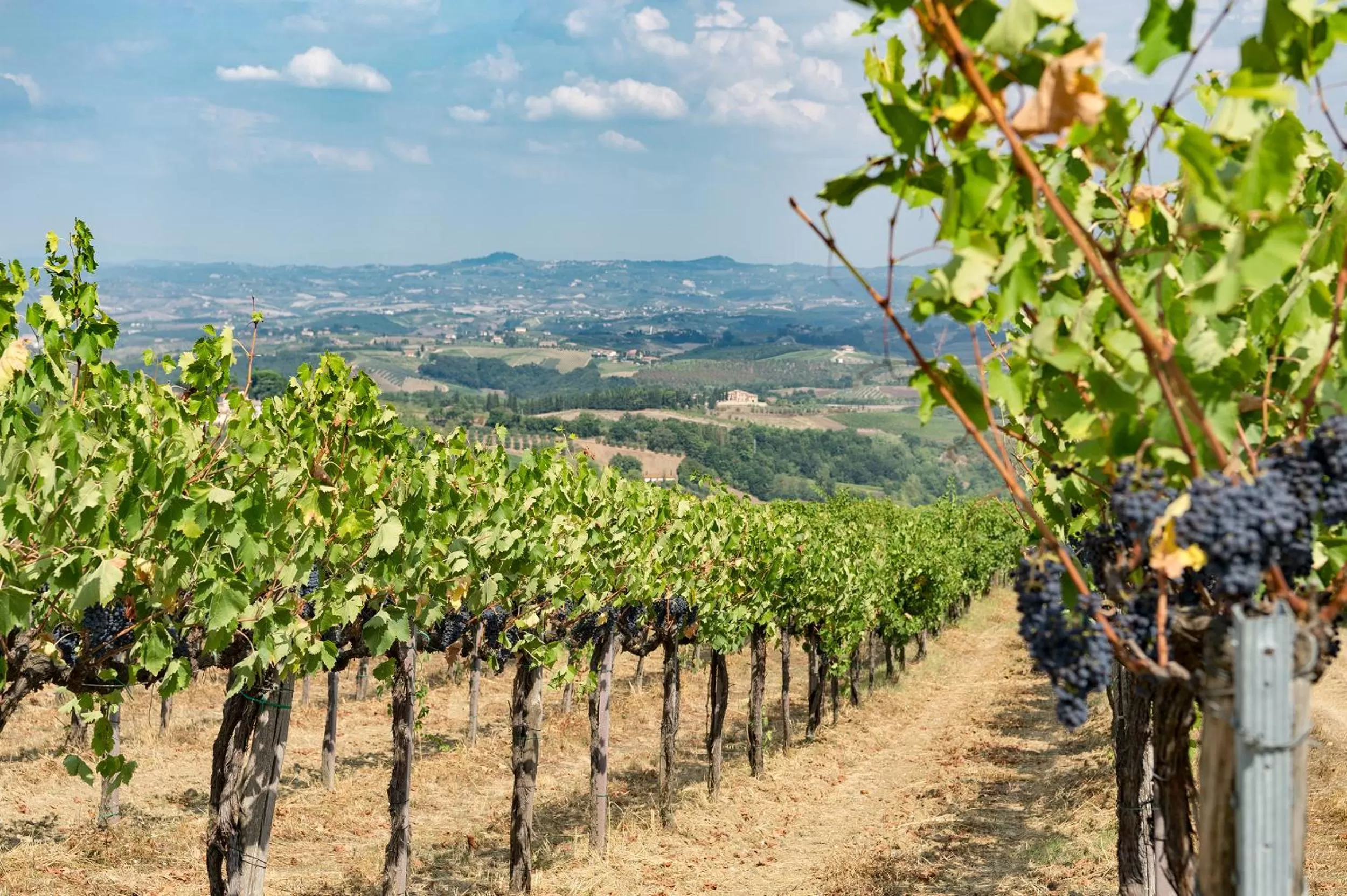 Day in Villasanpaolo Resort & Spa