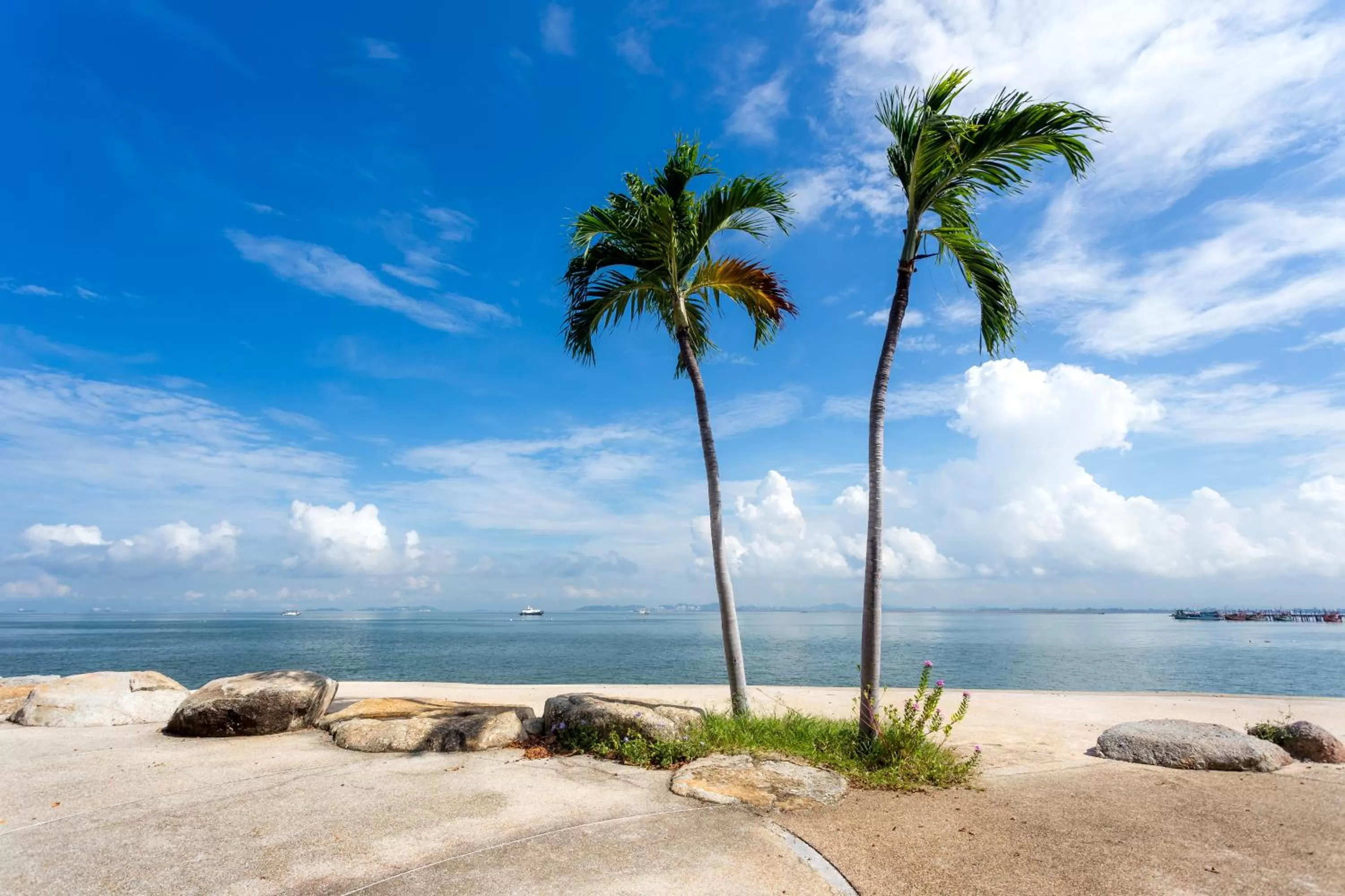 Natural landscape in Garden Sea View Resort