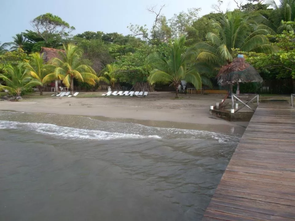Beach in Hotel Salvador Gaviota