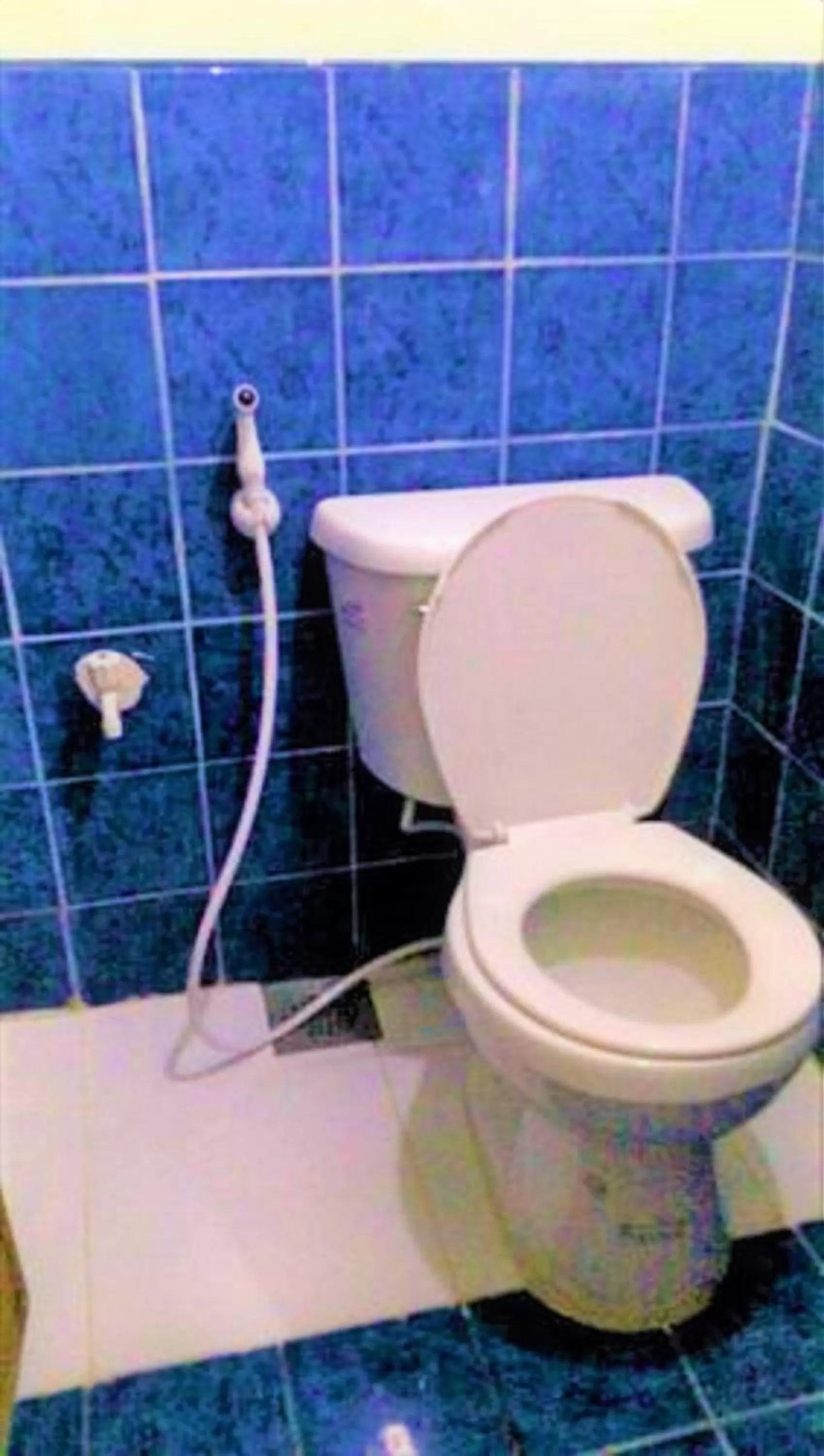 Toilet in Gaea's Apartments