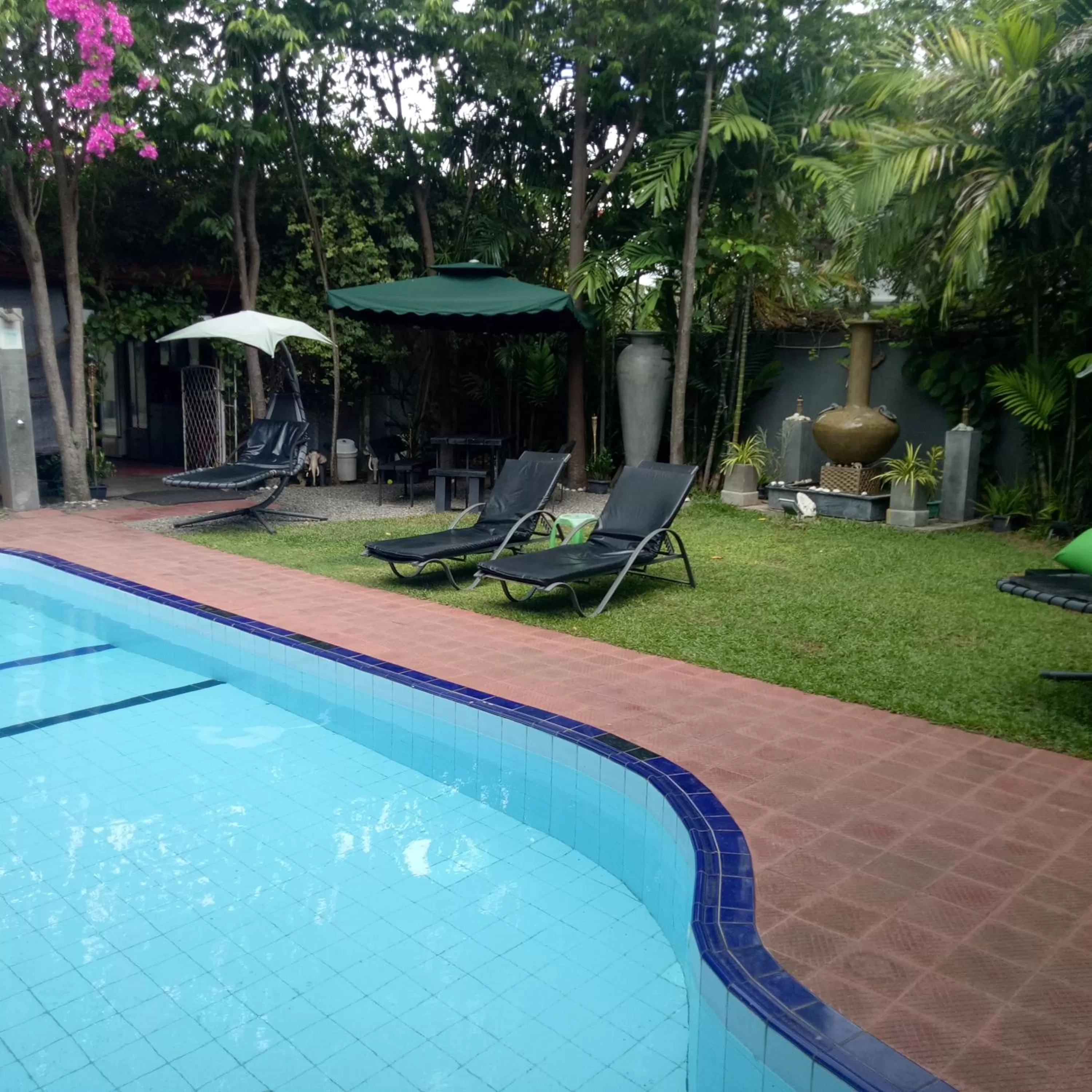 Swimming pool in Palms Villa