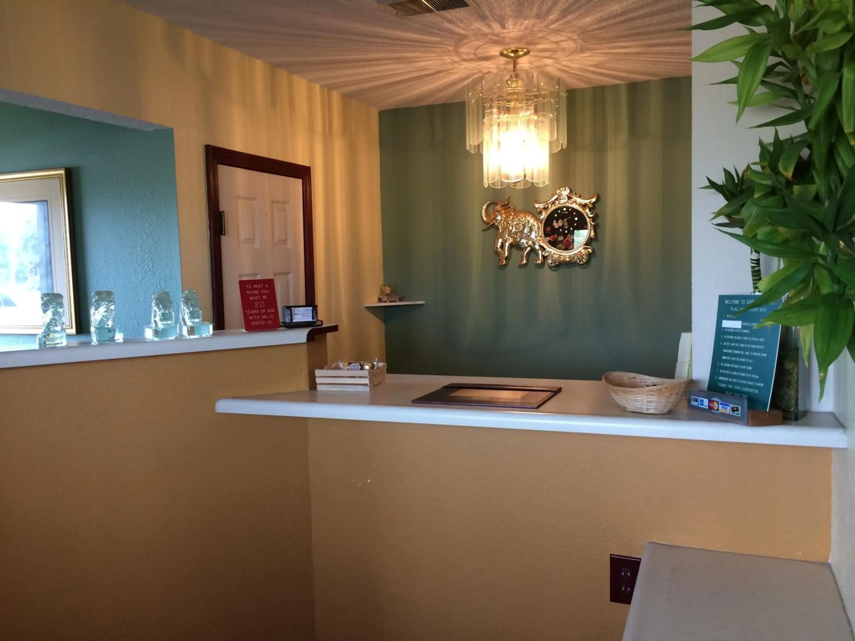 Spring in Super 7 Motel