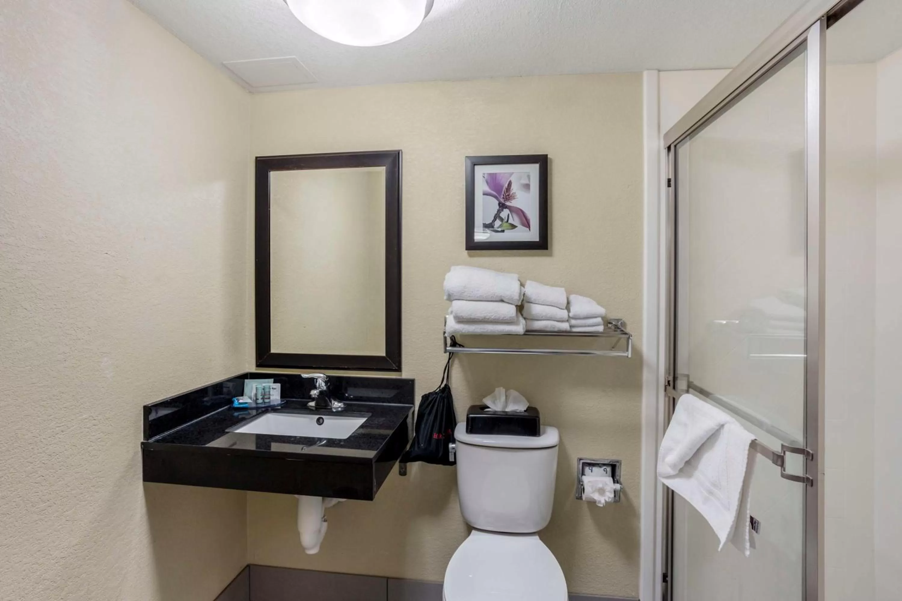 Bathroom in Best Western Harrisburg North Hotel