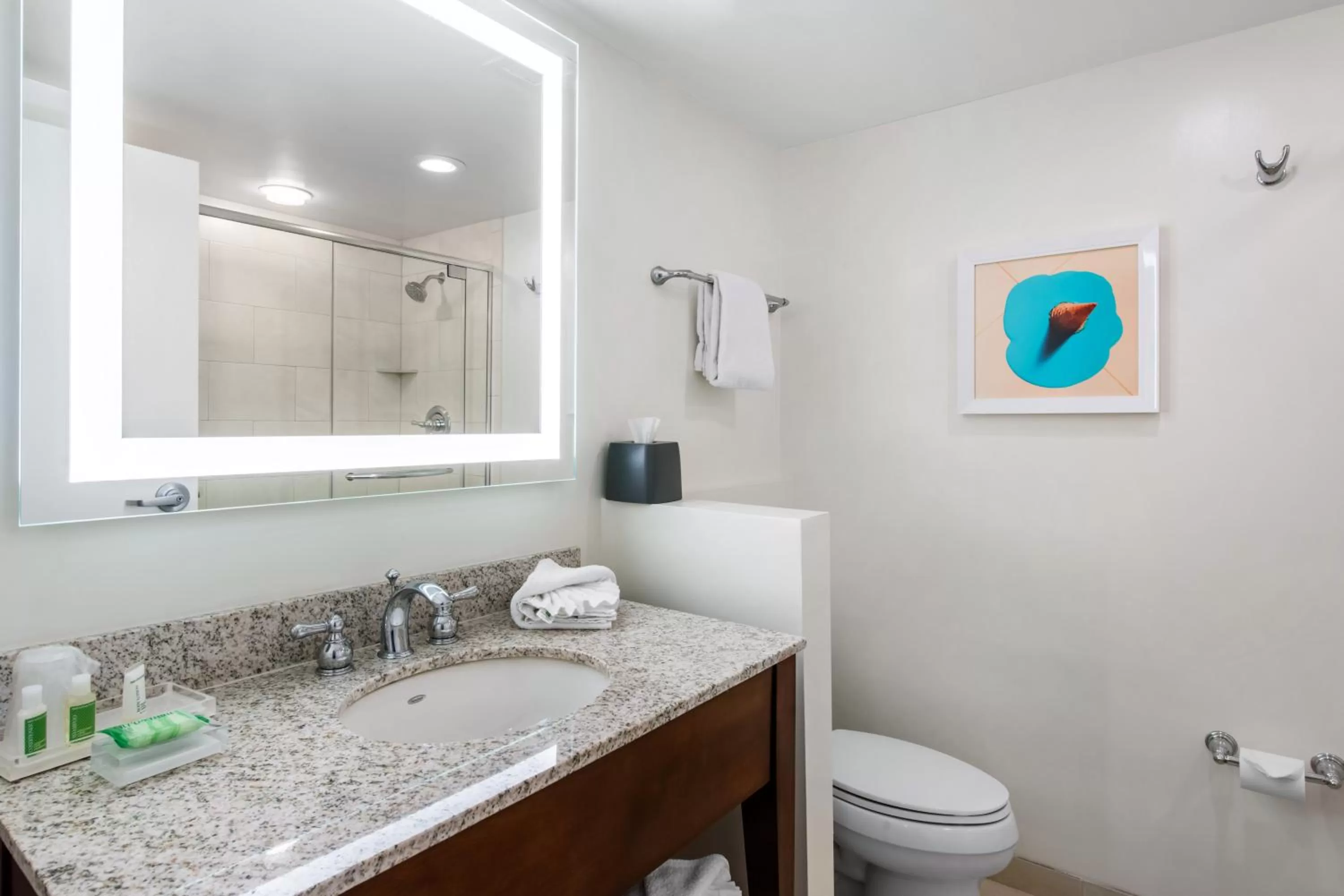 Bathroom in Holiday Inn Orlando – Disney Springs® Area by IHG