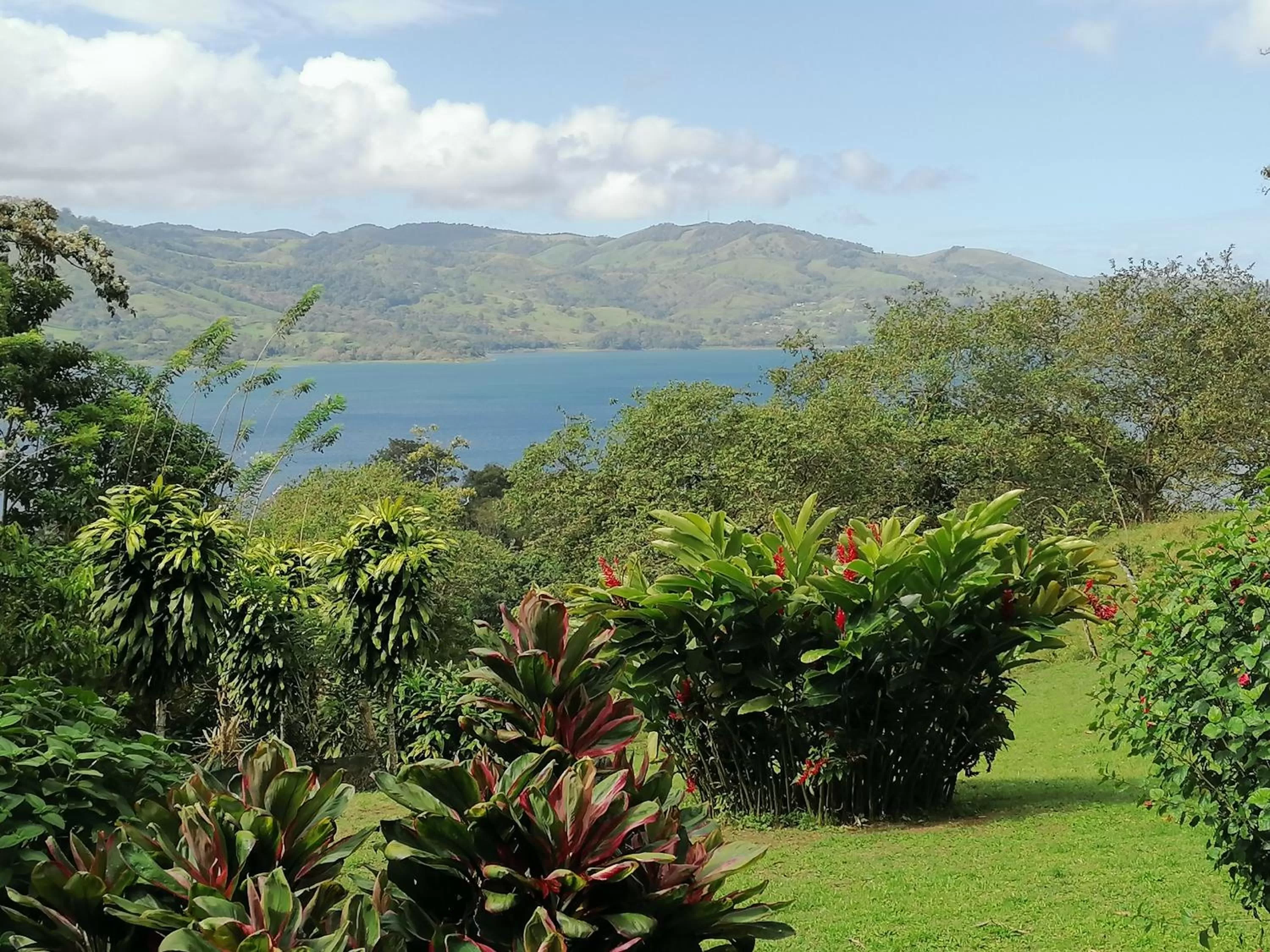 Natural landscape in La Ceiba Tree Lodge