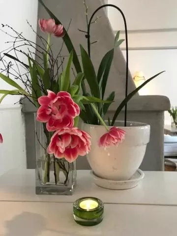 Communal lounge/ TV room in Hotell Bäckagården