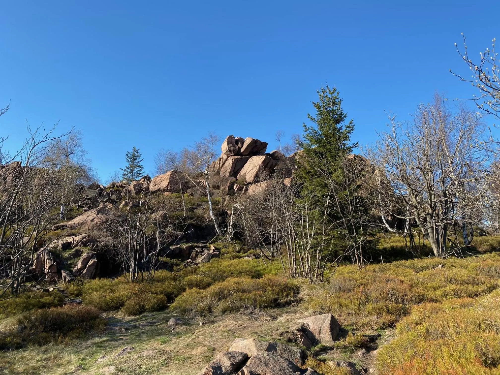 Nearby landmark in Hotel Lugsteinhof