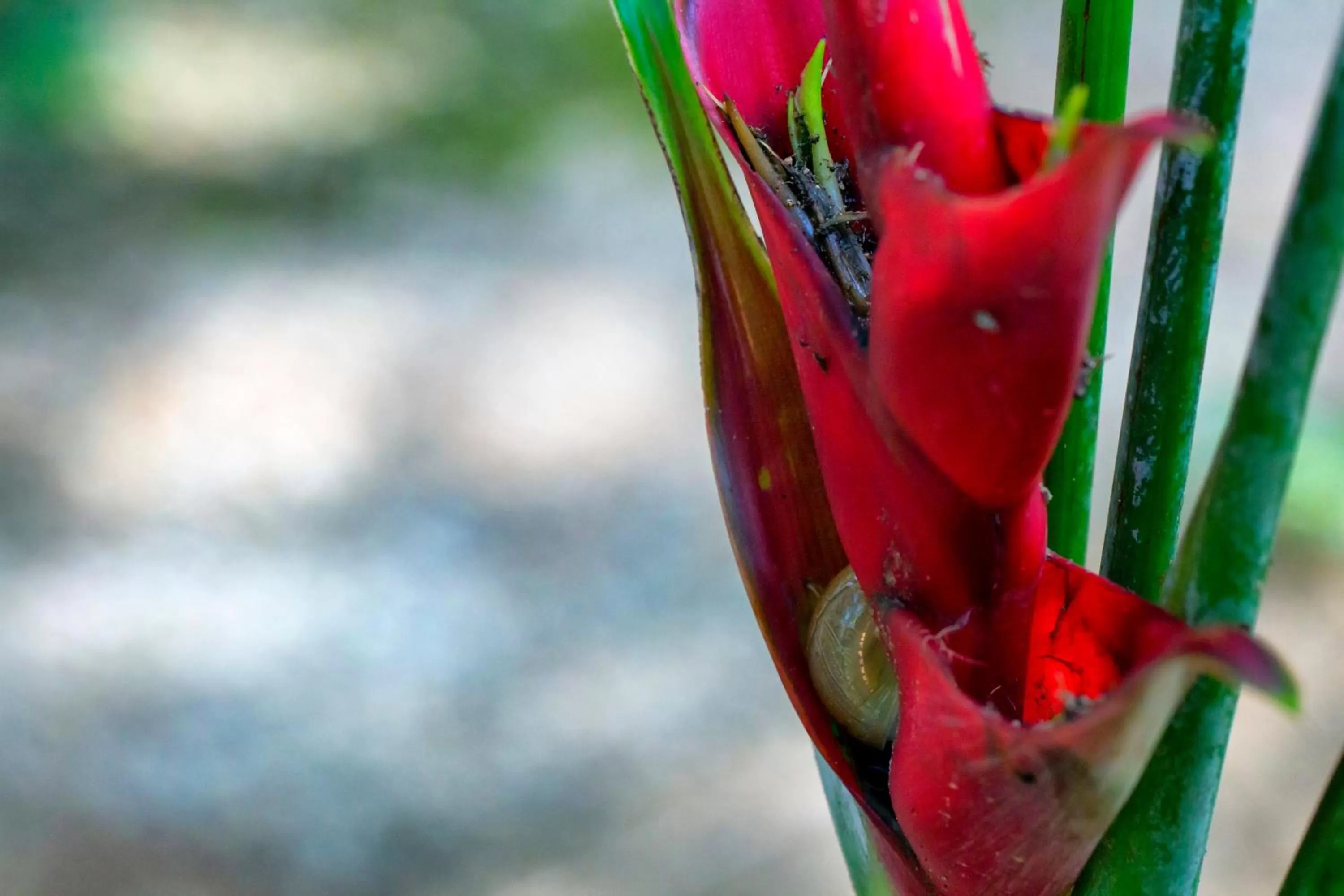 Property building in Khao Sok Palmview Resort