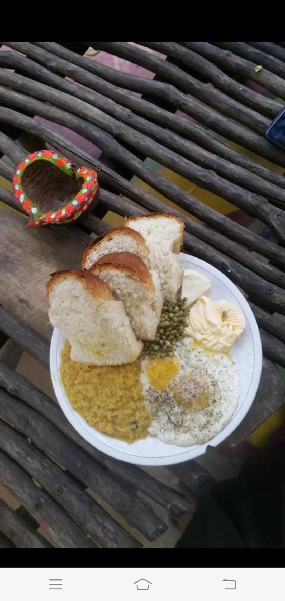 Jungle river humbhaha hostel