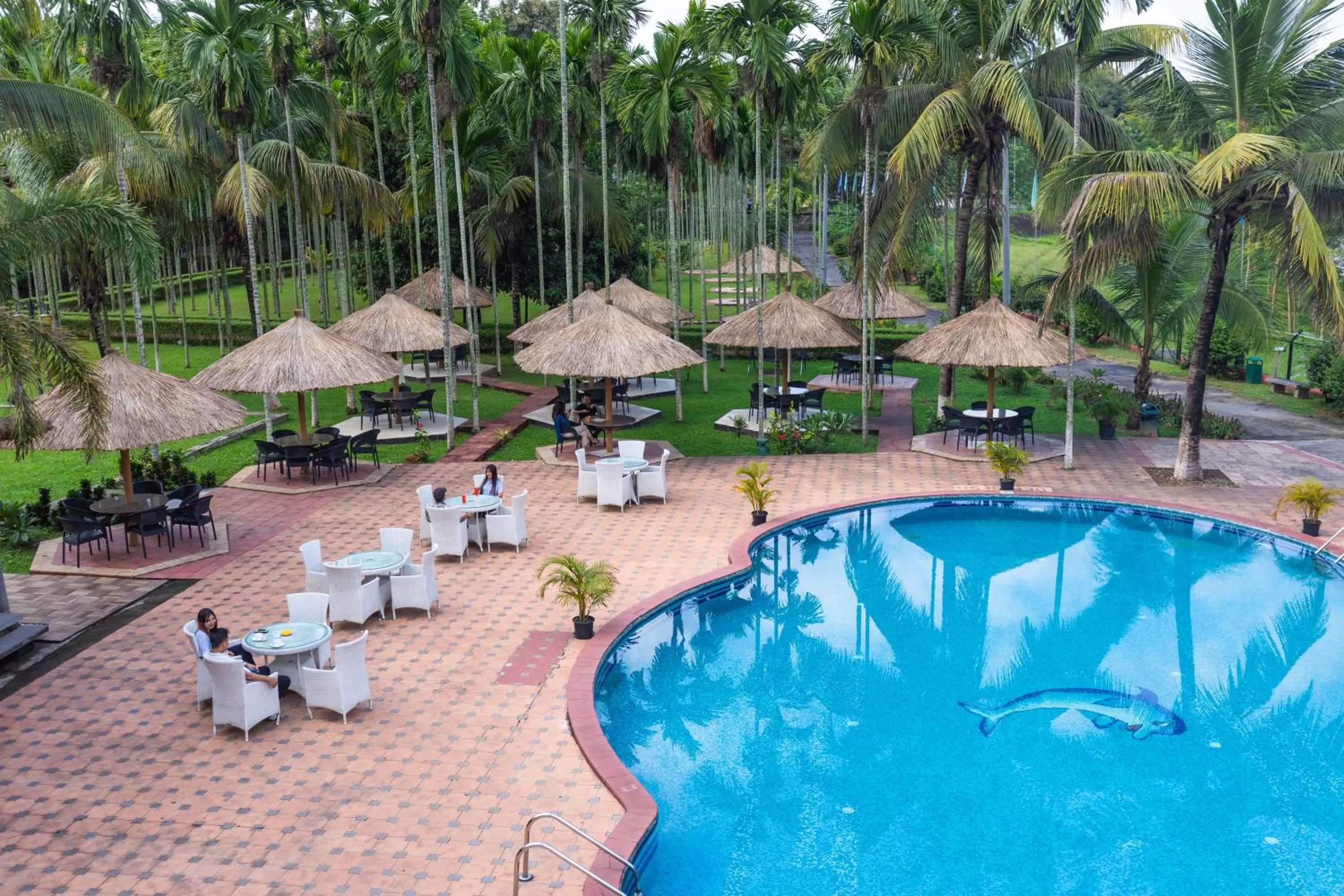 Pool view in Zone Niathu Dimapur By The Park