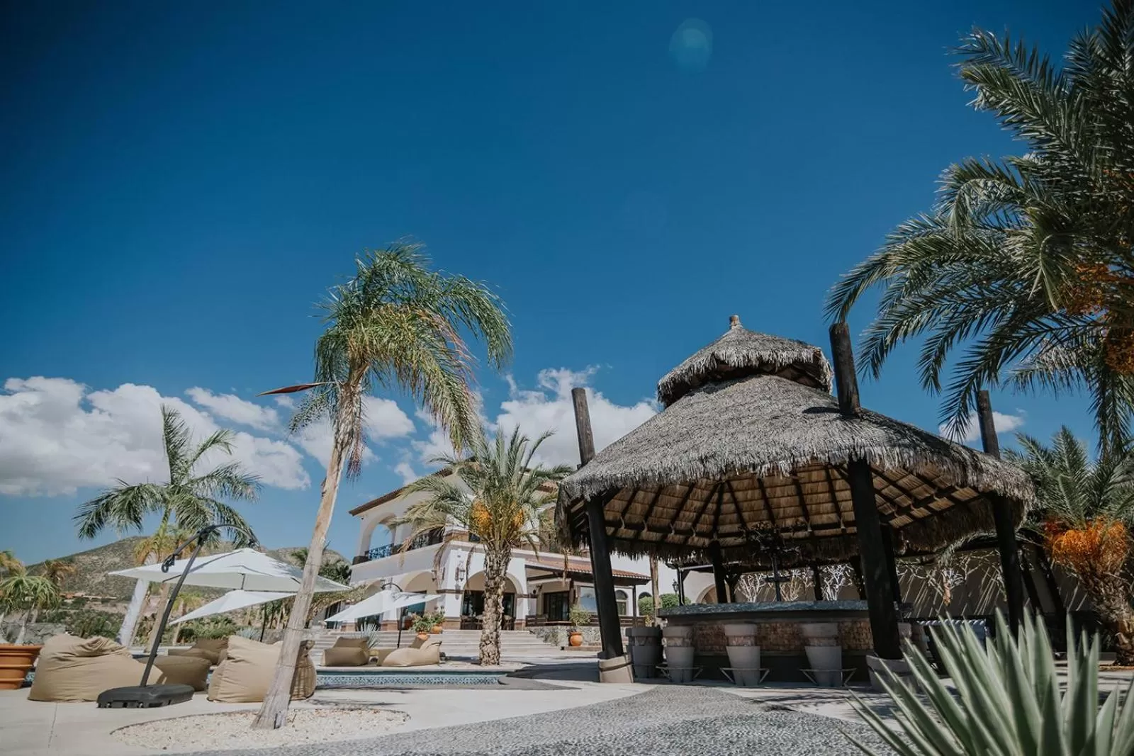 Property building in Orchid House Baja