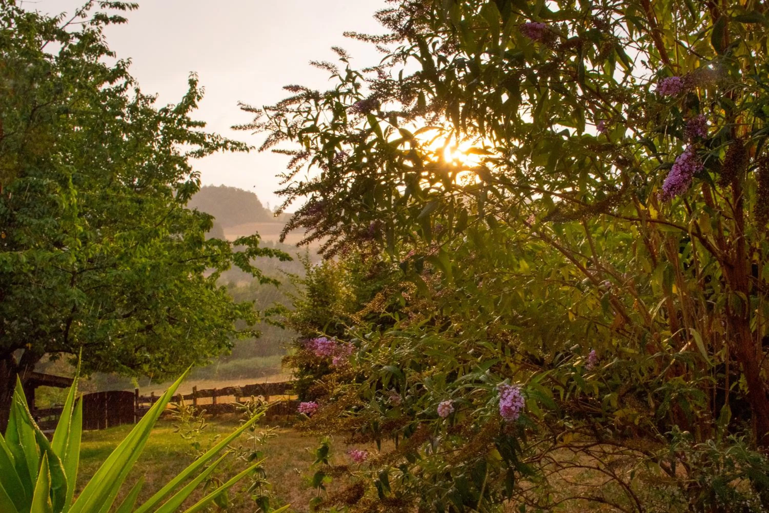 Natural landscape in Landhotel Lortz
