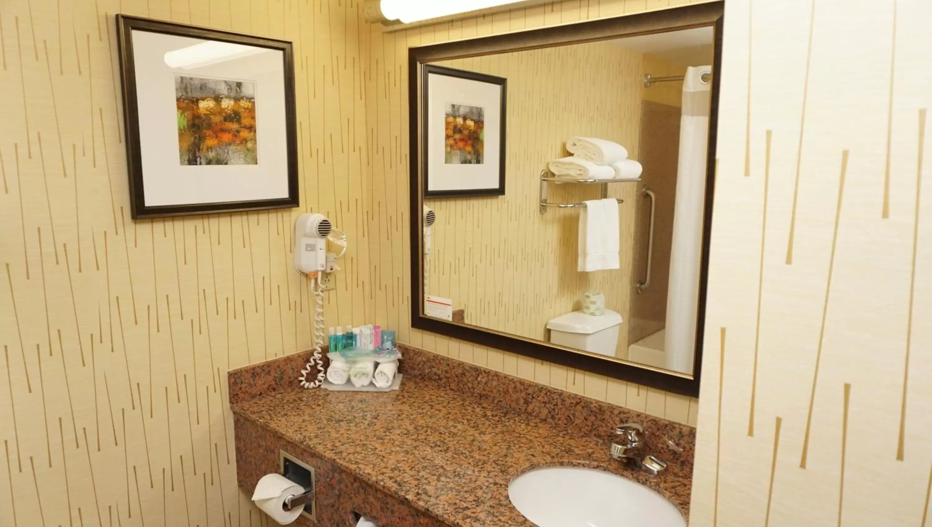 King Studio Suite with Mobility Accessible Tub - Non-Smoking in Holiday Inn Express & Suites Gibson by IHG King Studio Suite with Mobility Accessible Tub - Non-Smoking in Holiday Inn Express & Suites Gibson by IHG