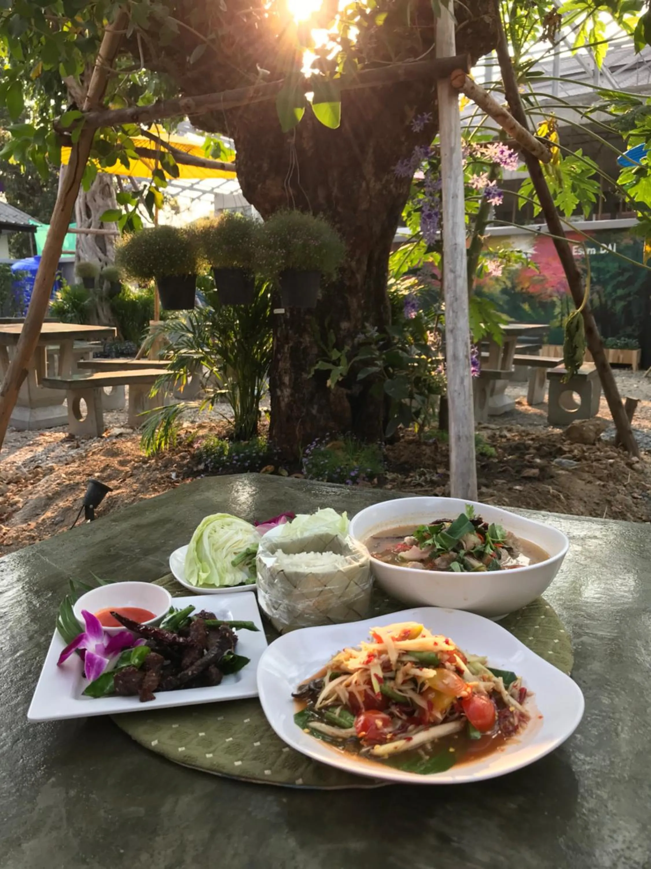 Restaurant/places to eat in My Loft Hotel SHA