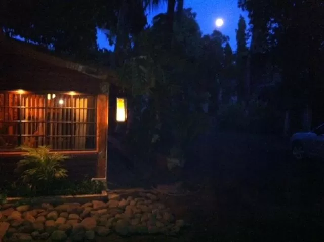 Day, Property Building in Hotel Caleta