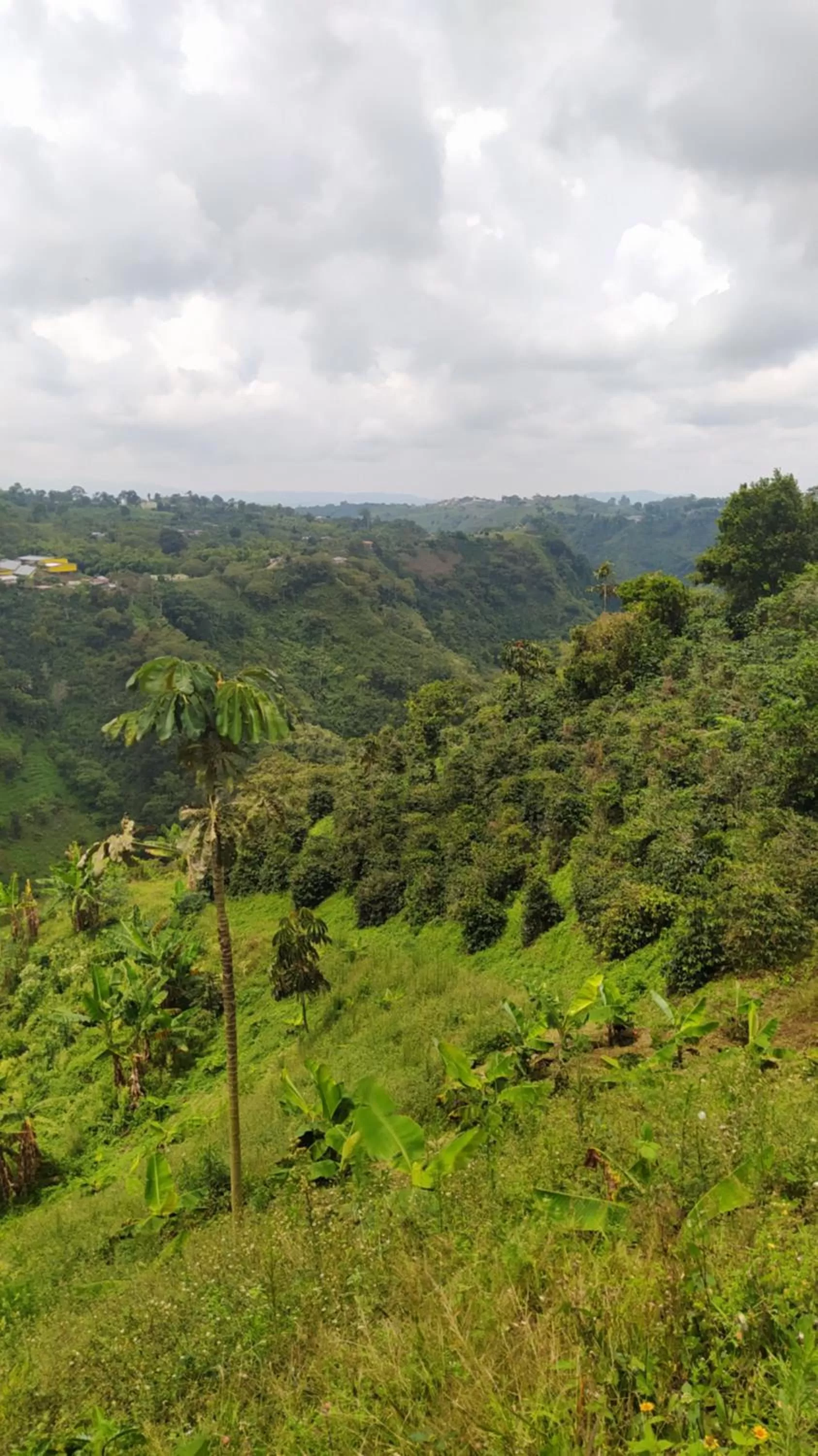 Natural Landscape in Villa Cristina - Casa Boutique