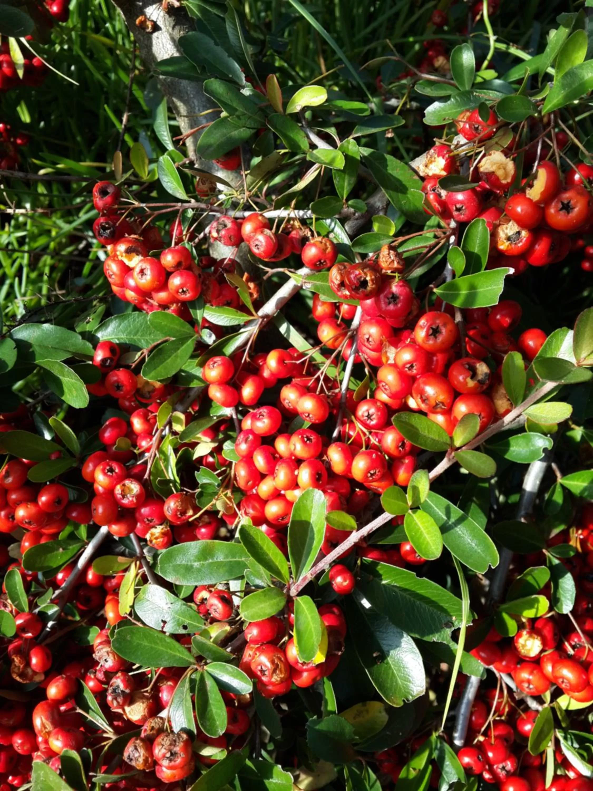 Other in Bina's Haus Pousada, Cafeteria e Atelier