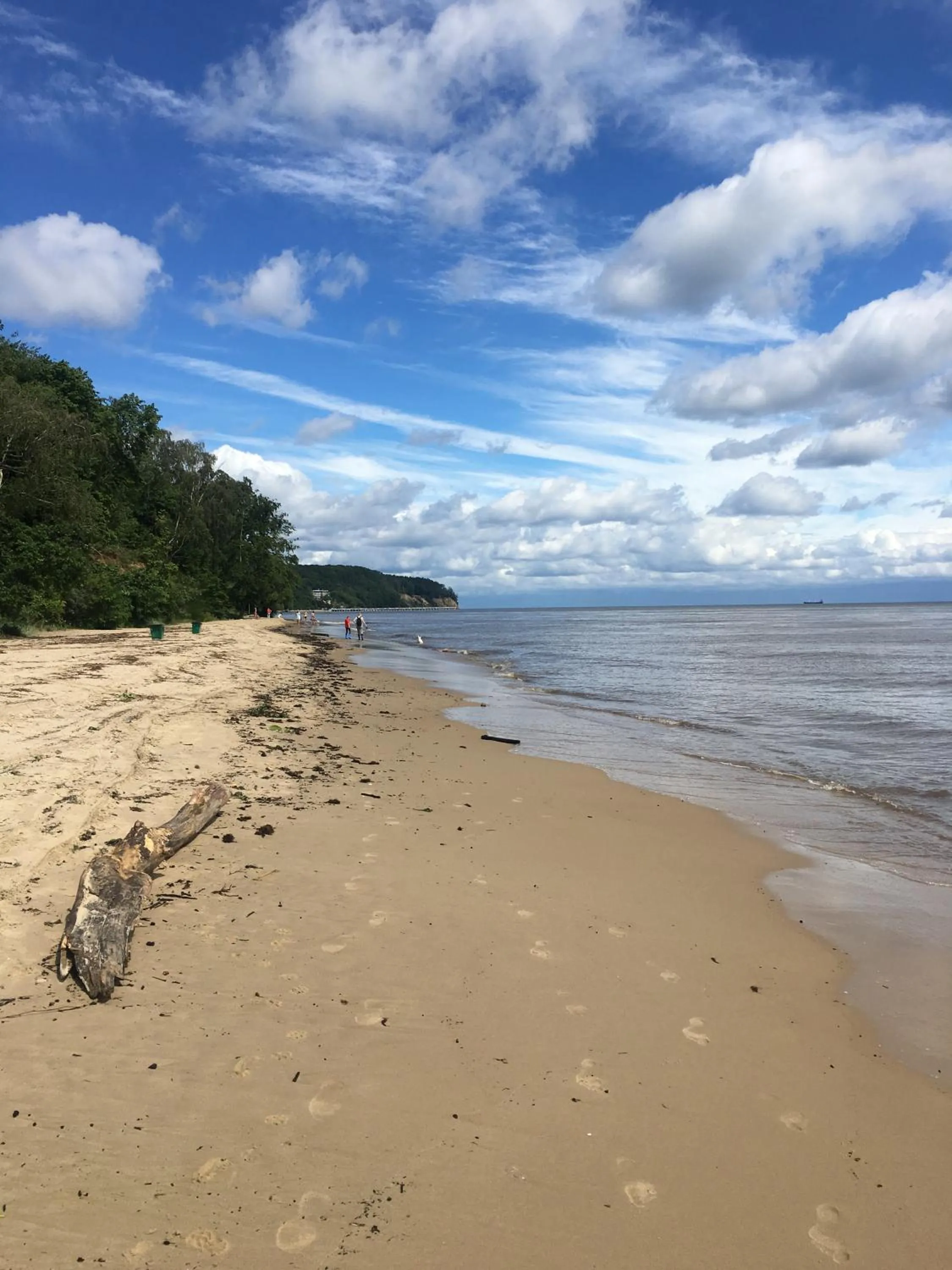 Off site in Hotel Miramar