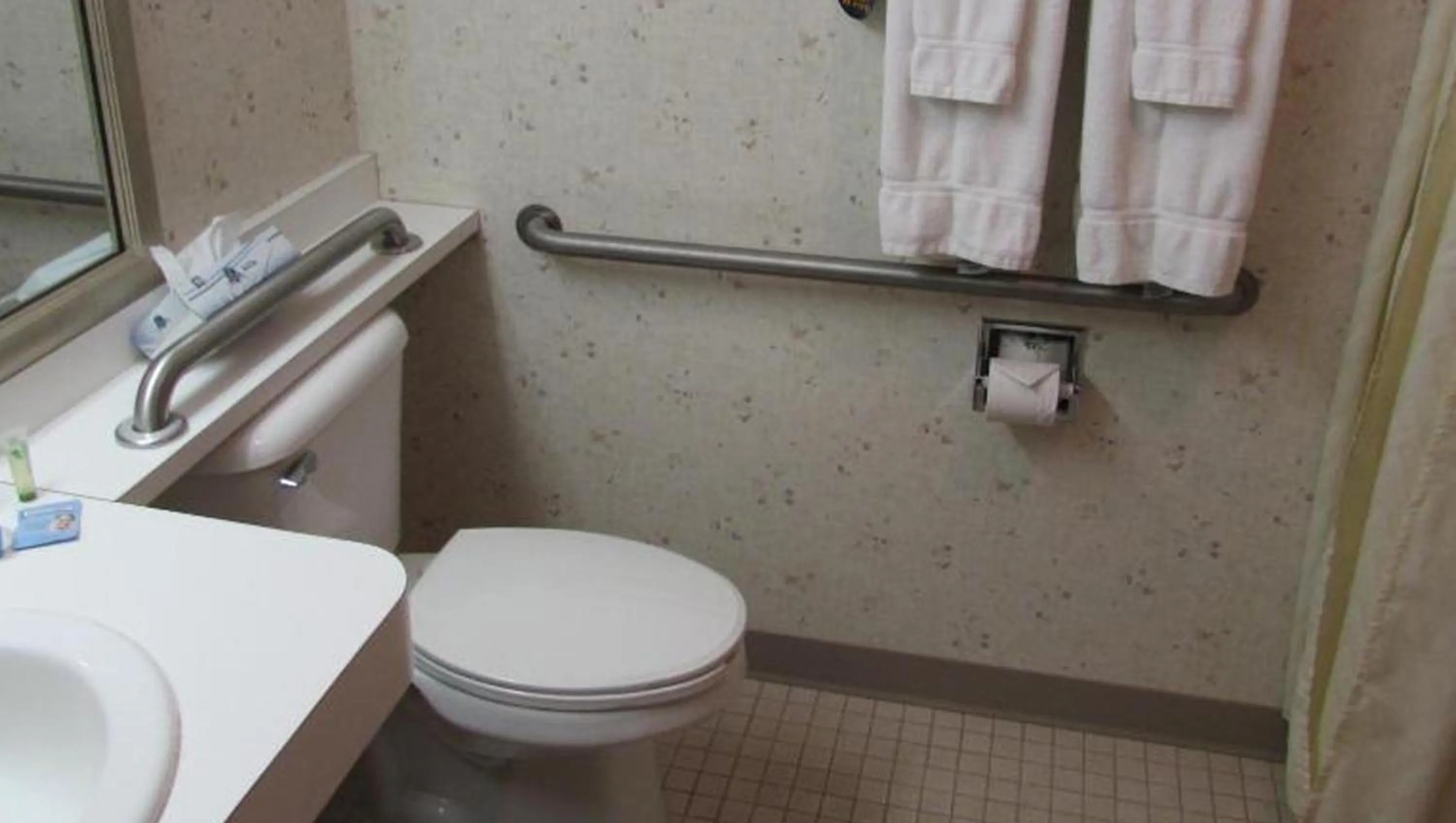 Bathroom in Magnuson Grand Pioneer Inn and Suites