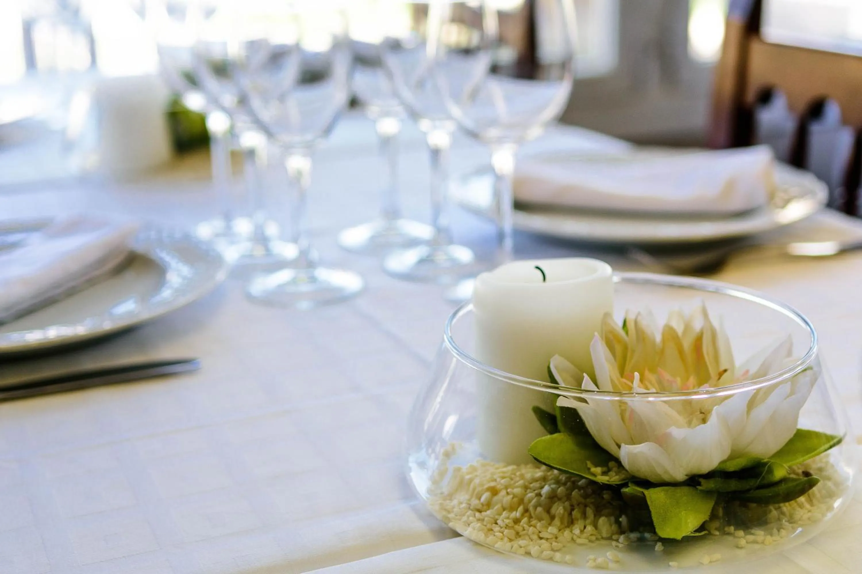 Restaurant/places to eat in Hotel Balaguer