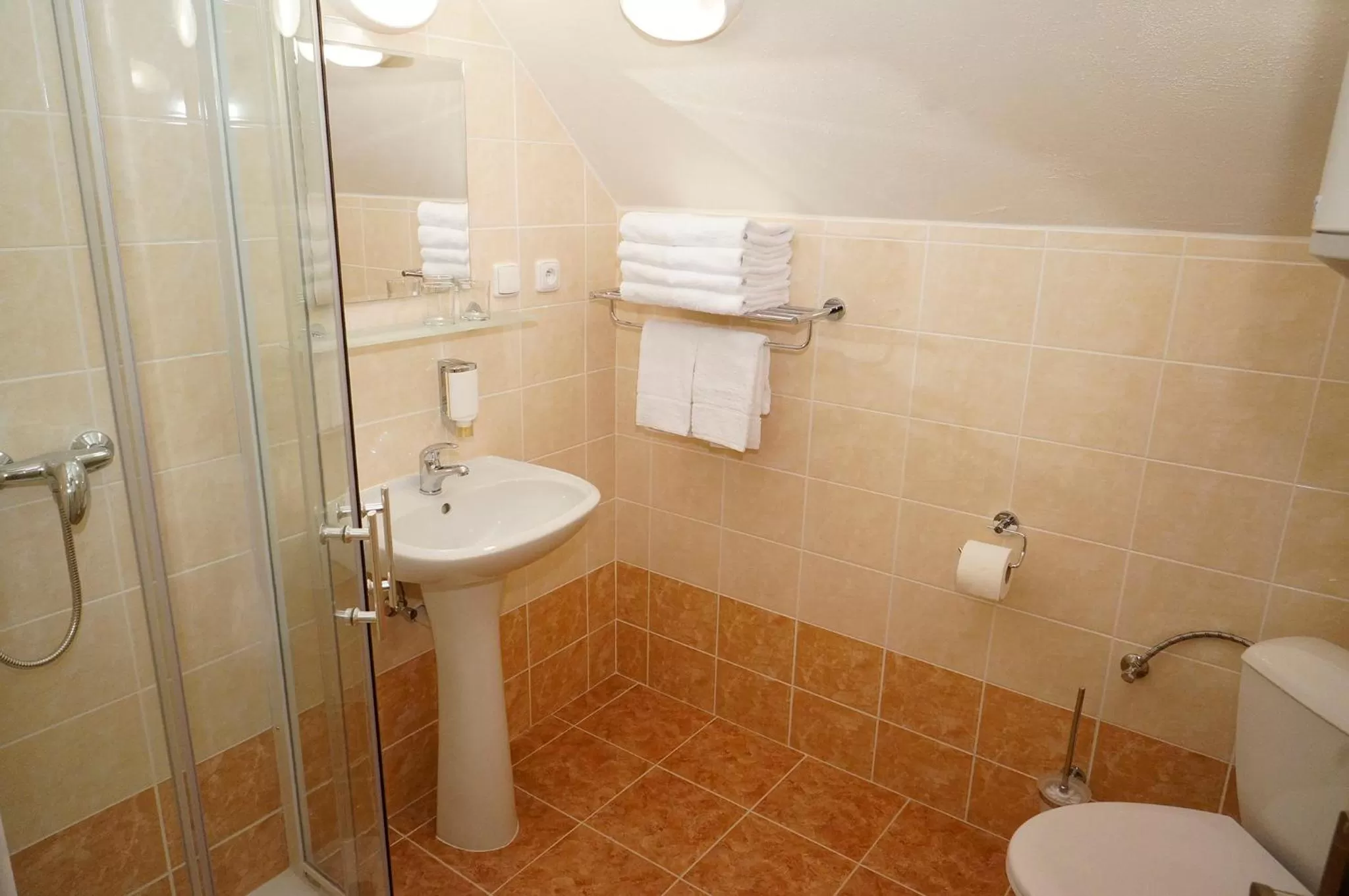 Shower in Penzion Čistá