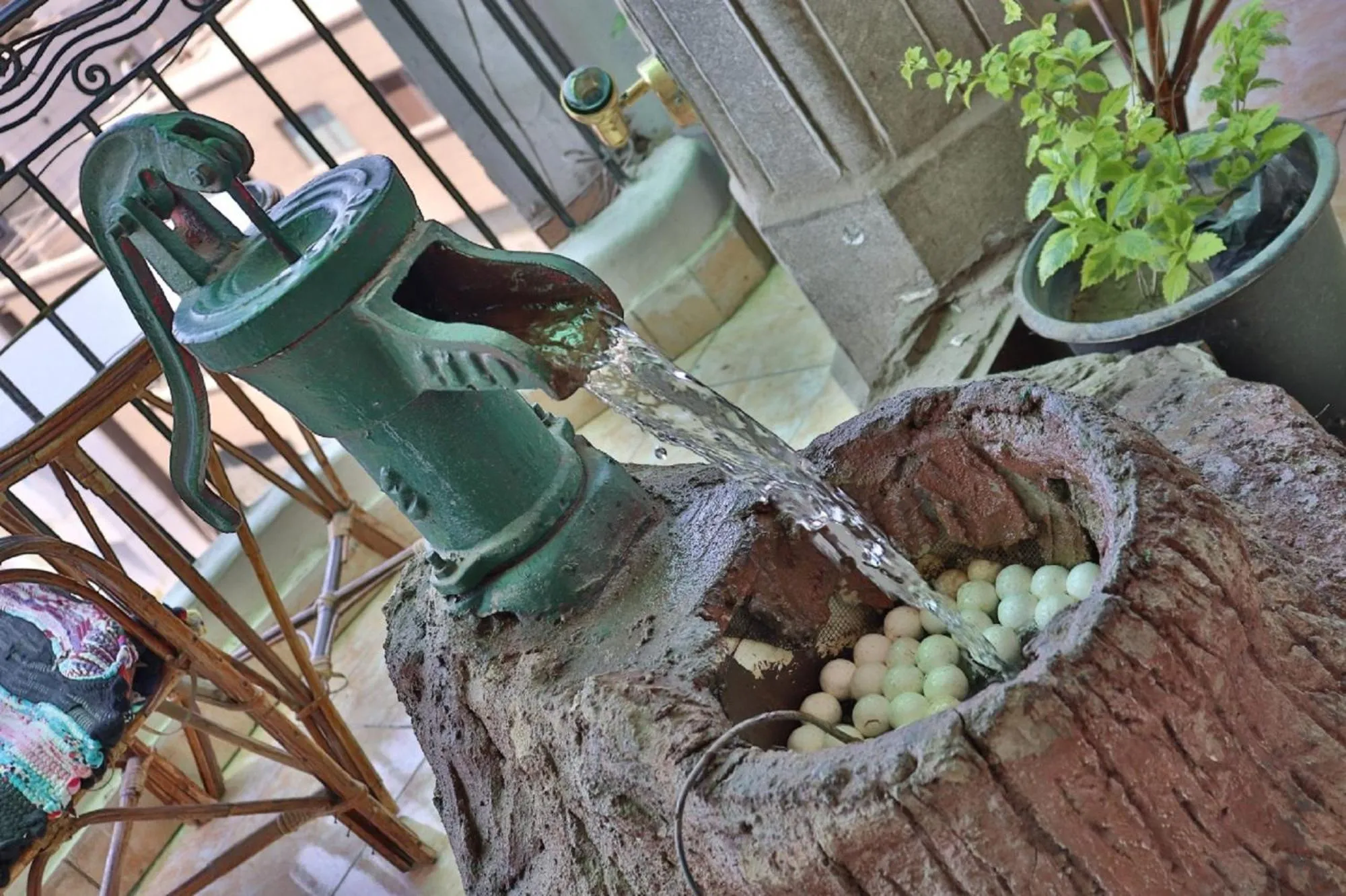 Garden in Cecilia Hostel